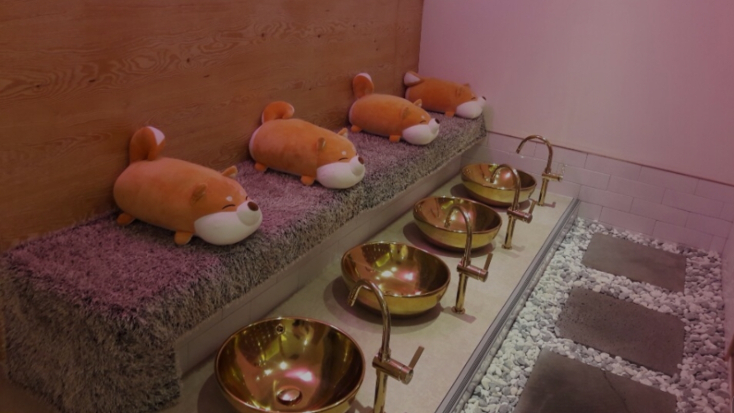 어깨풀어야지 photo 4