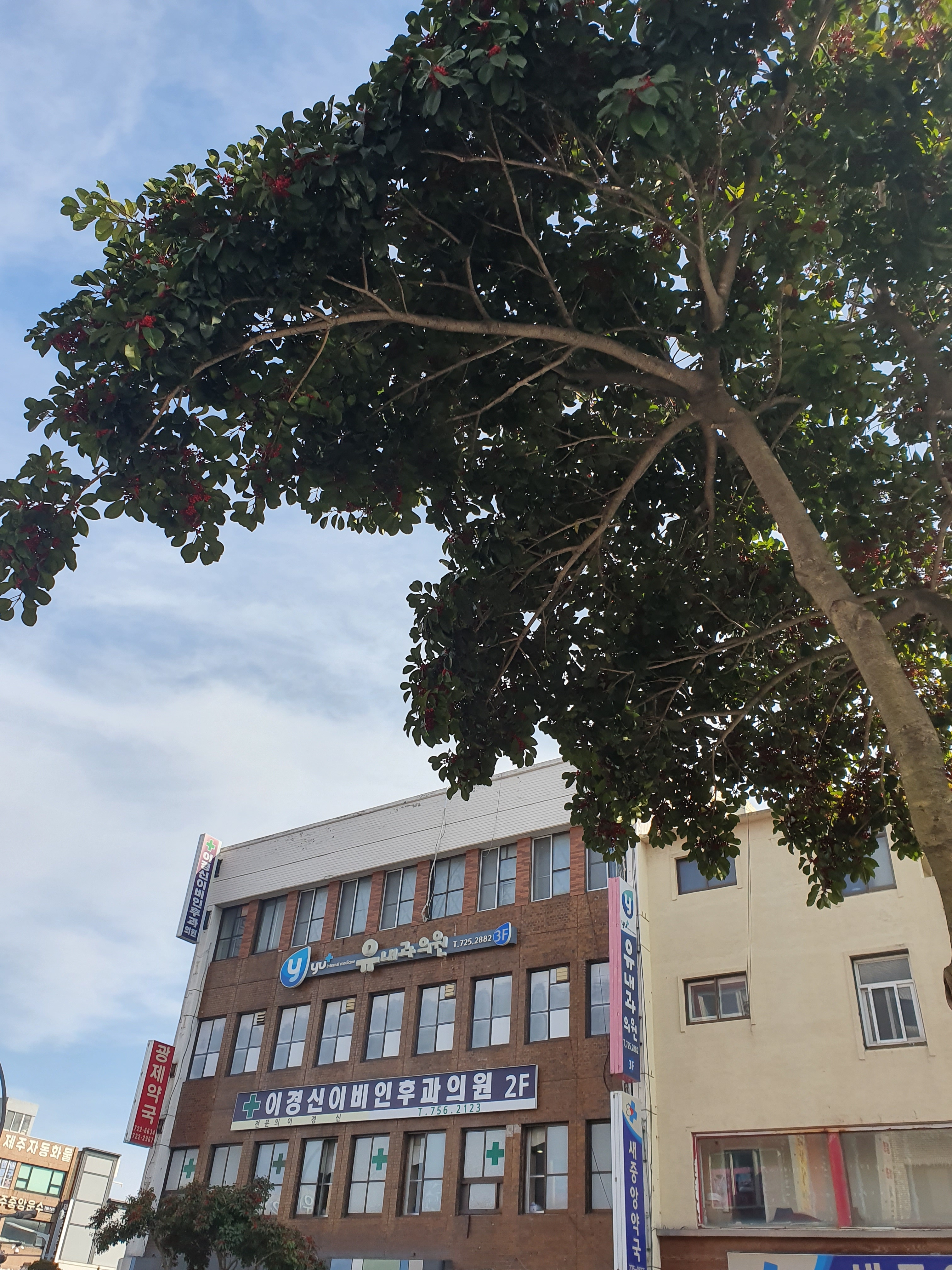 이경신이비인후과의원 대표 이미지