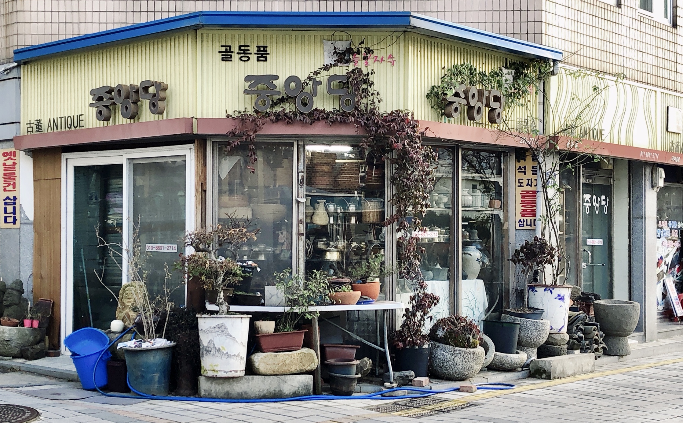 중앙당골동품