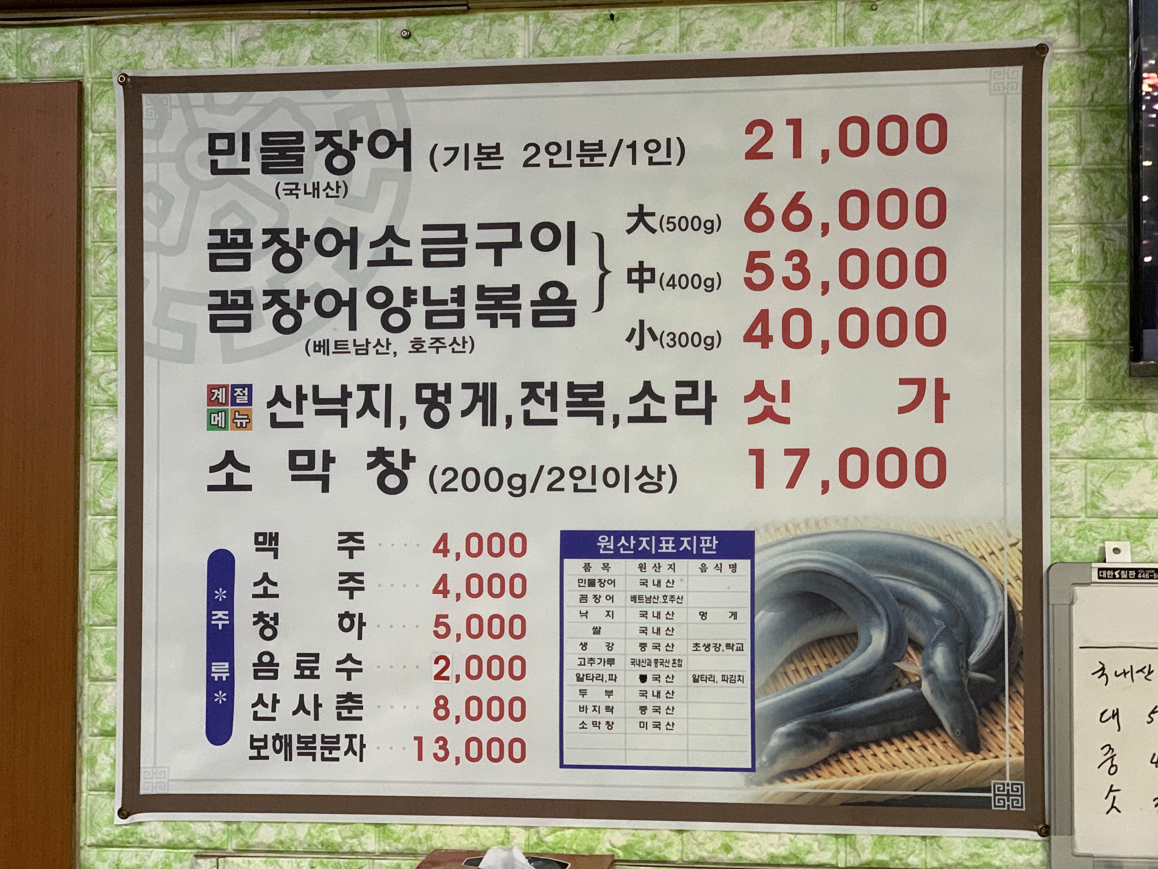살아있는꼼장어
