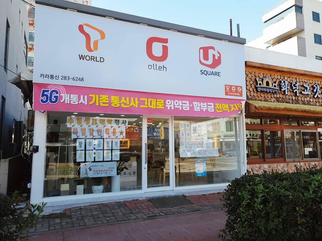 카라통신카라플라워