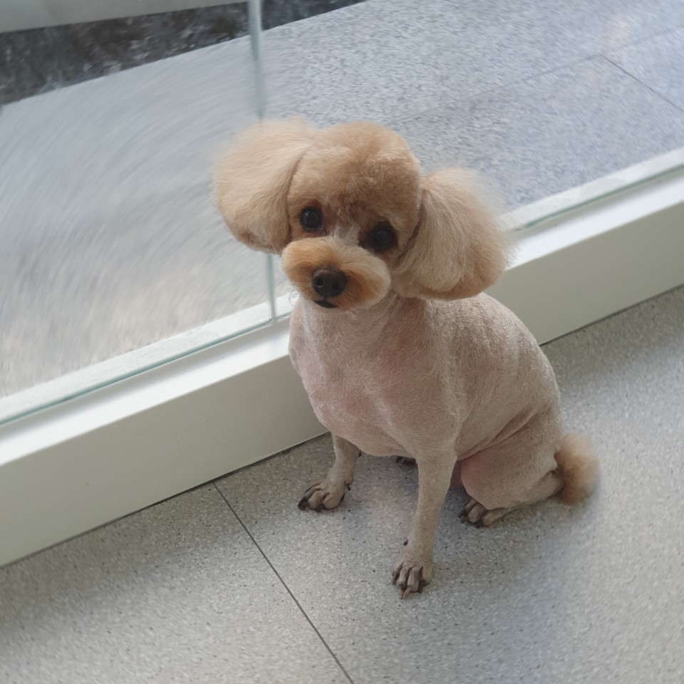 이미지