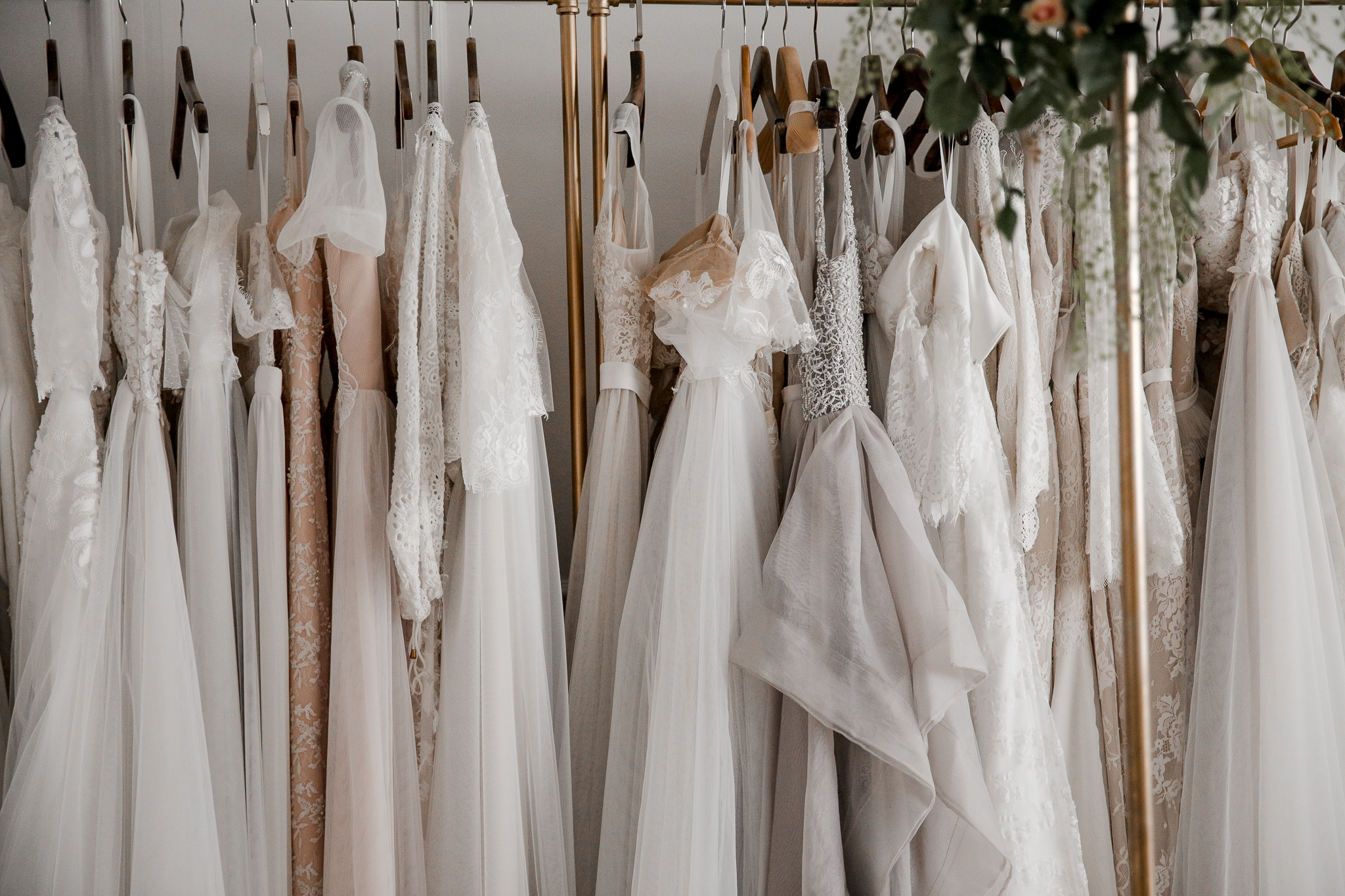 파푸리 대표 이미지