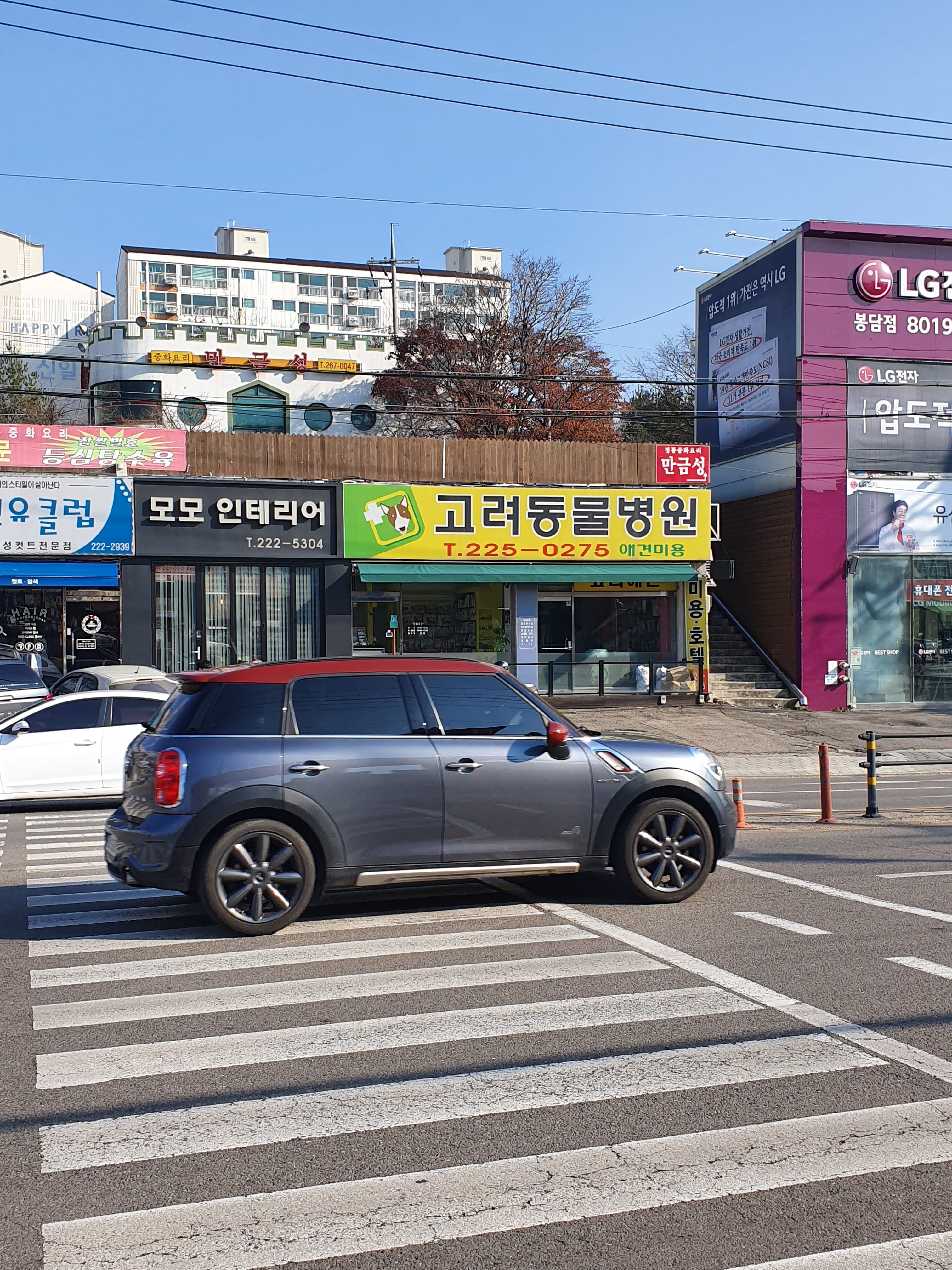 고려동물병원 내부 또는 관련 모습