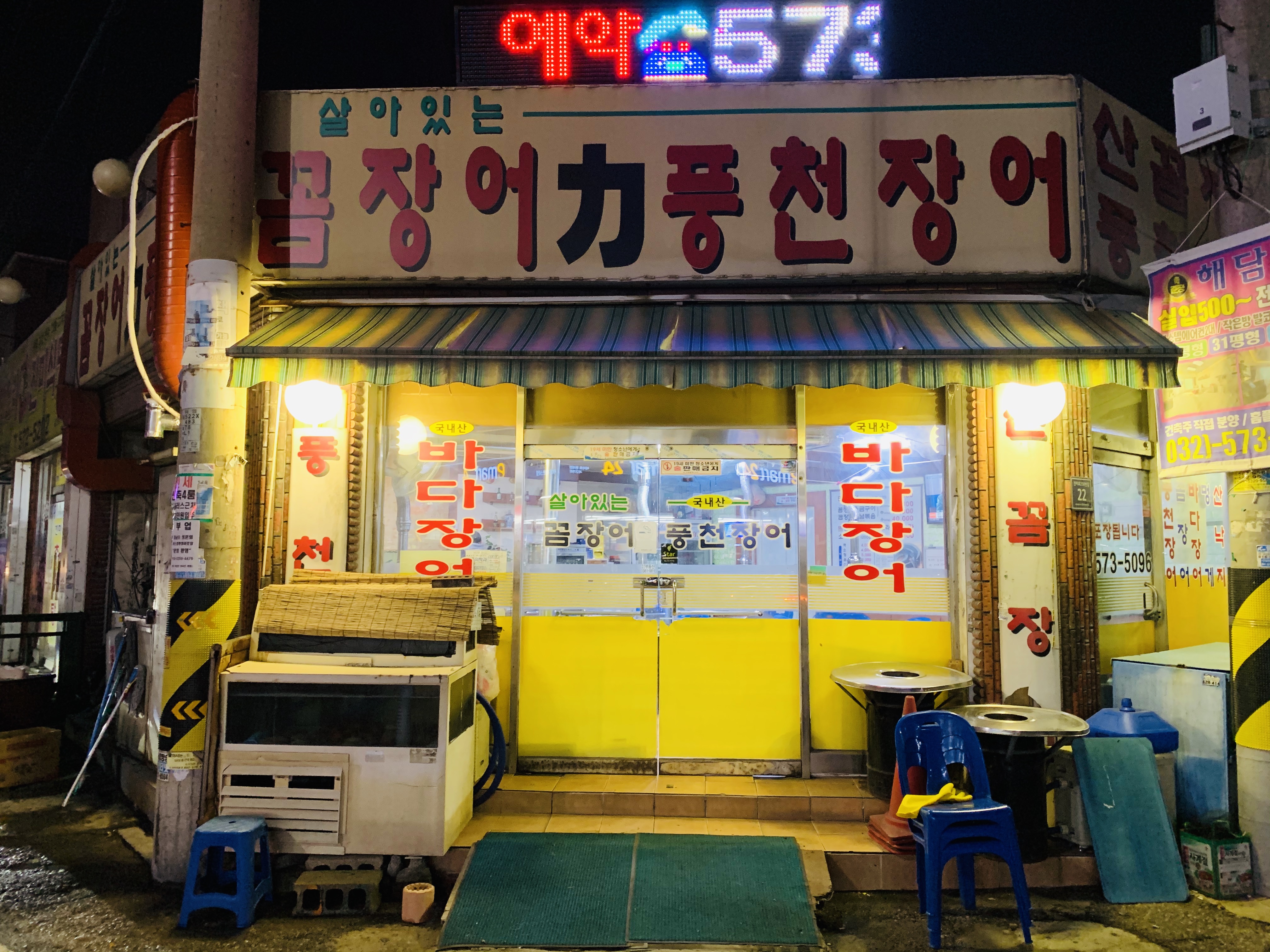 살아있는꼼장어
