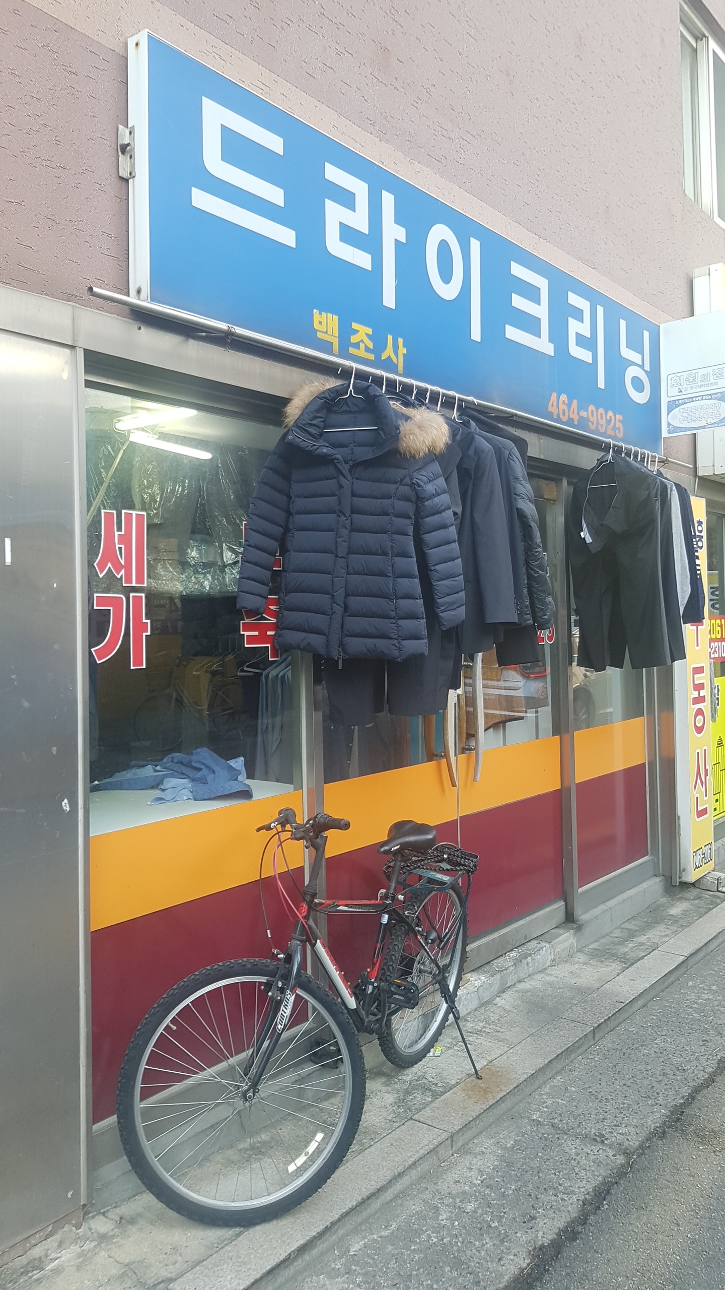 백조사
