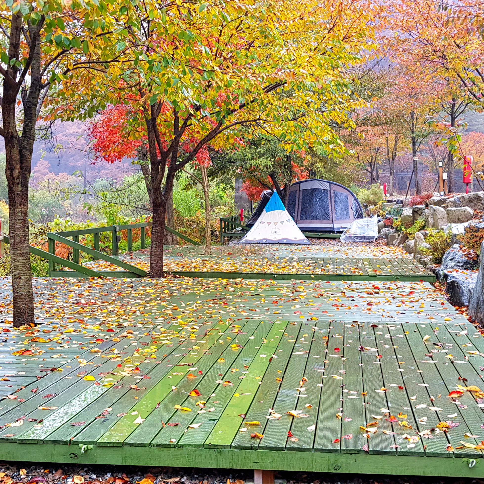 캠핑장 사진