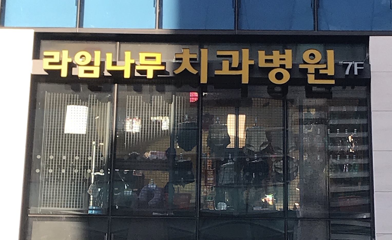 라임나무치과병원 대표 이미지