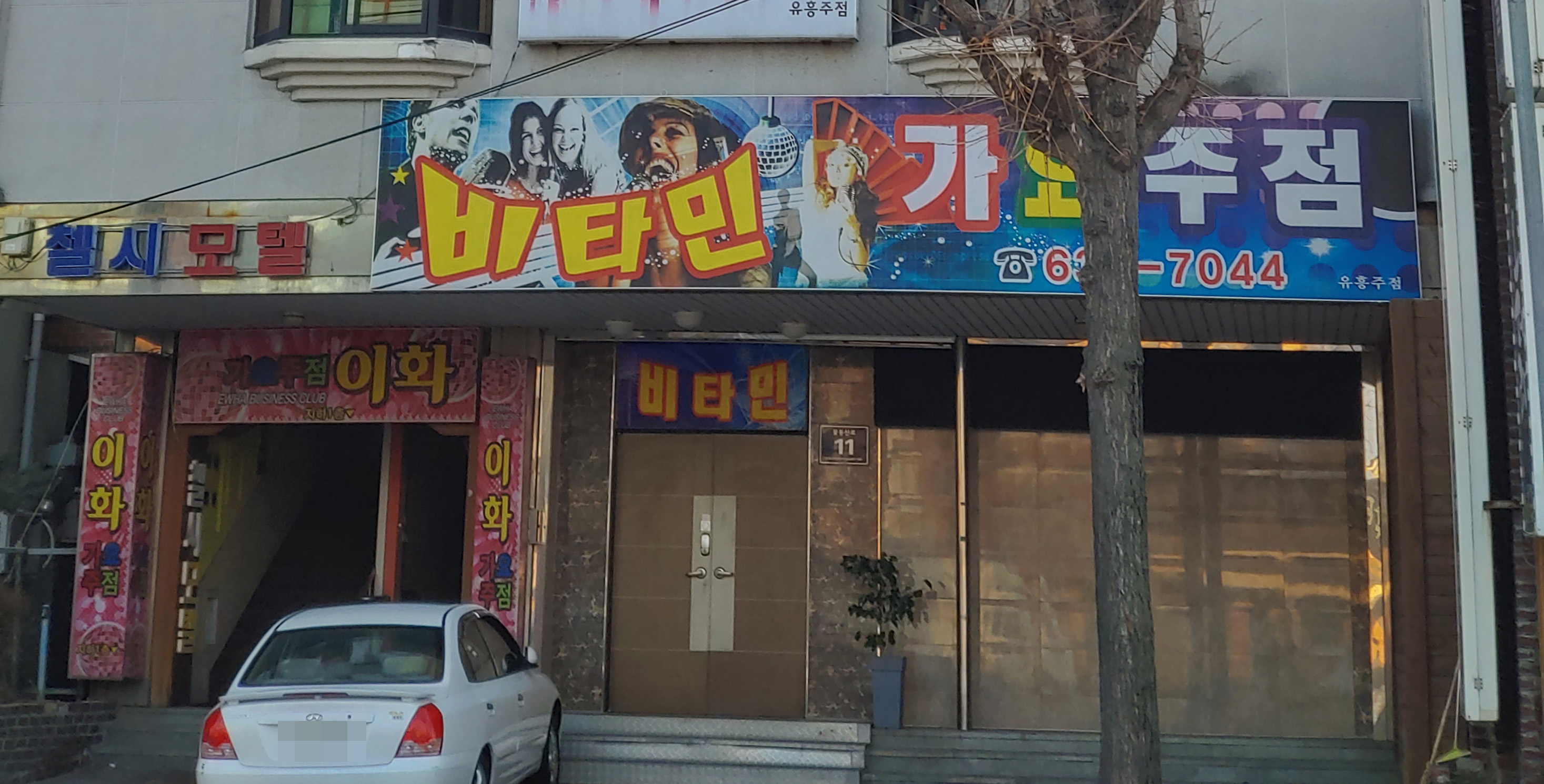 비타민가요주점