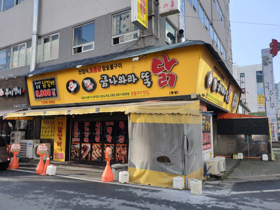 금나와라뚝닭