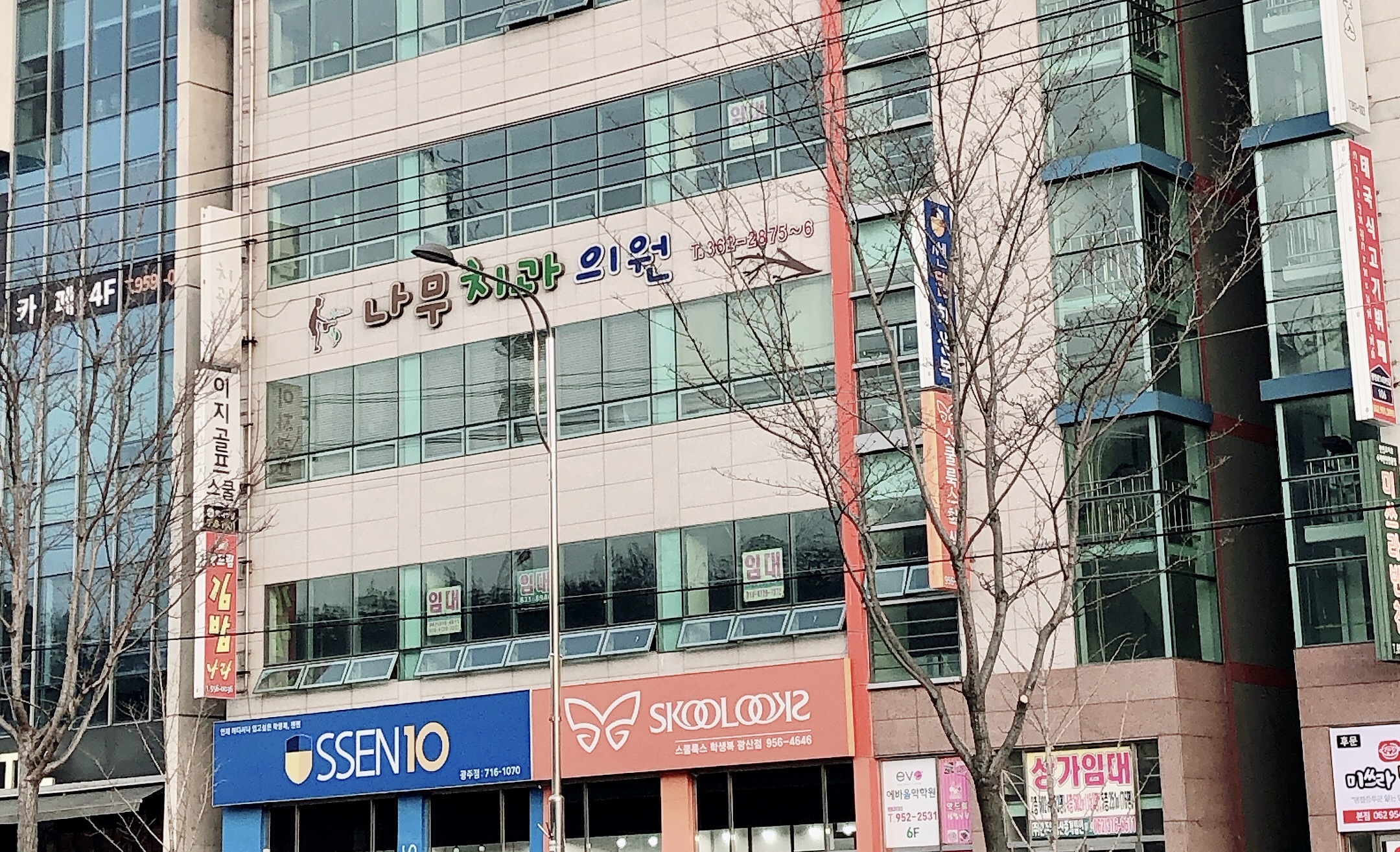 나무치과의원 대표 이미지