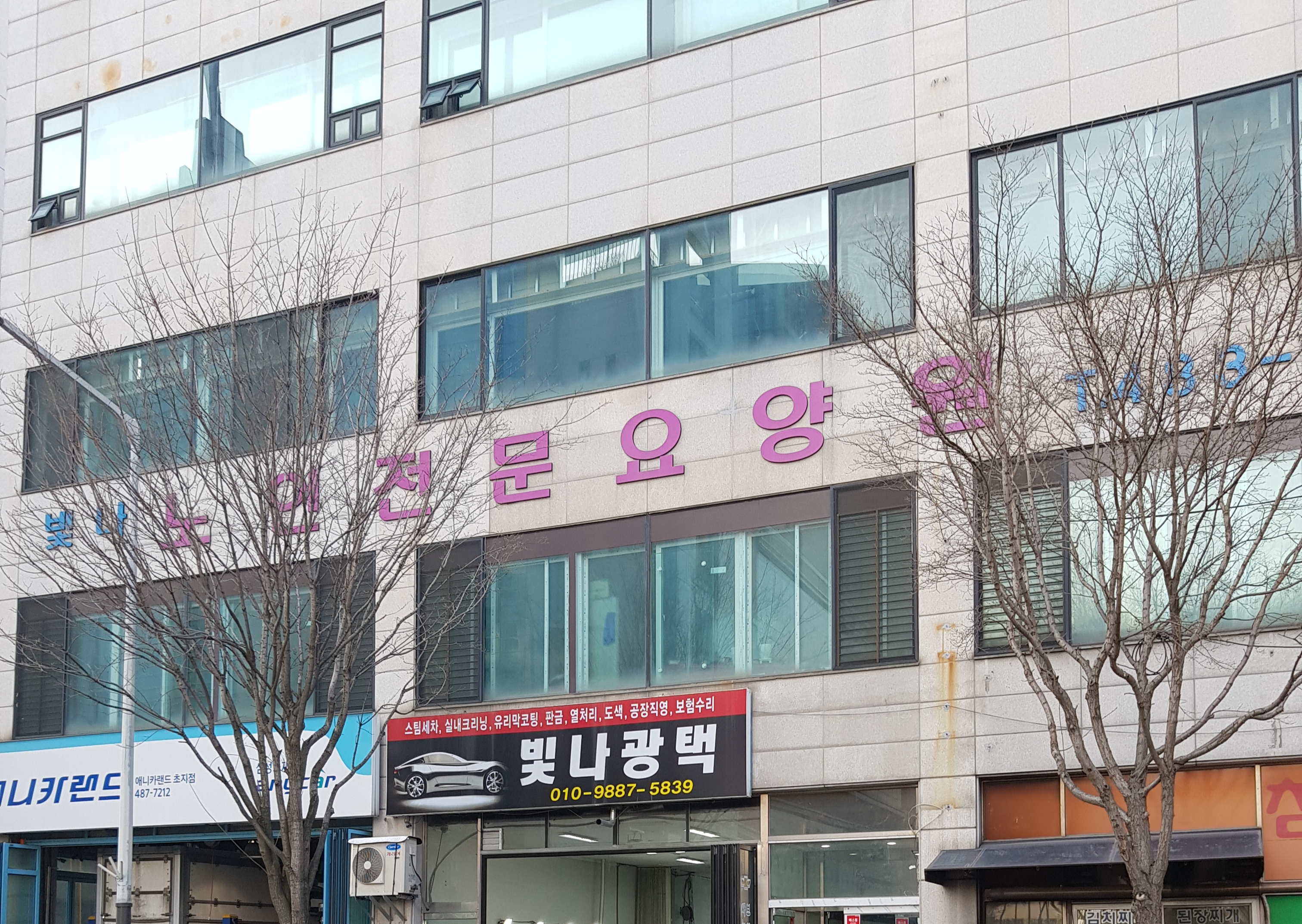 빛나광택