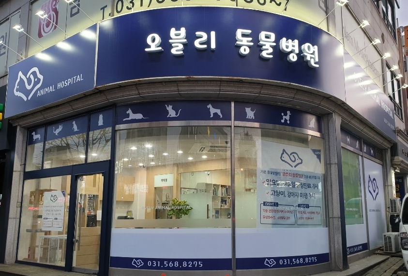 오블리 동물병원
