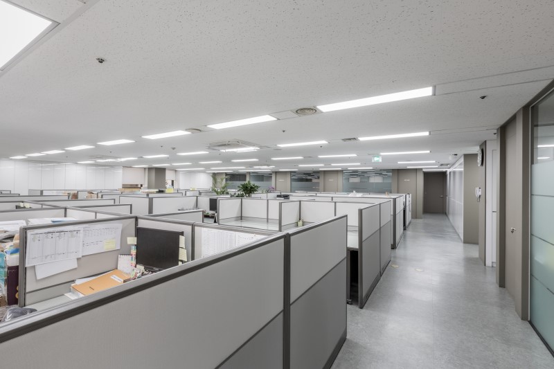세무법인대성