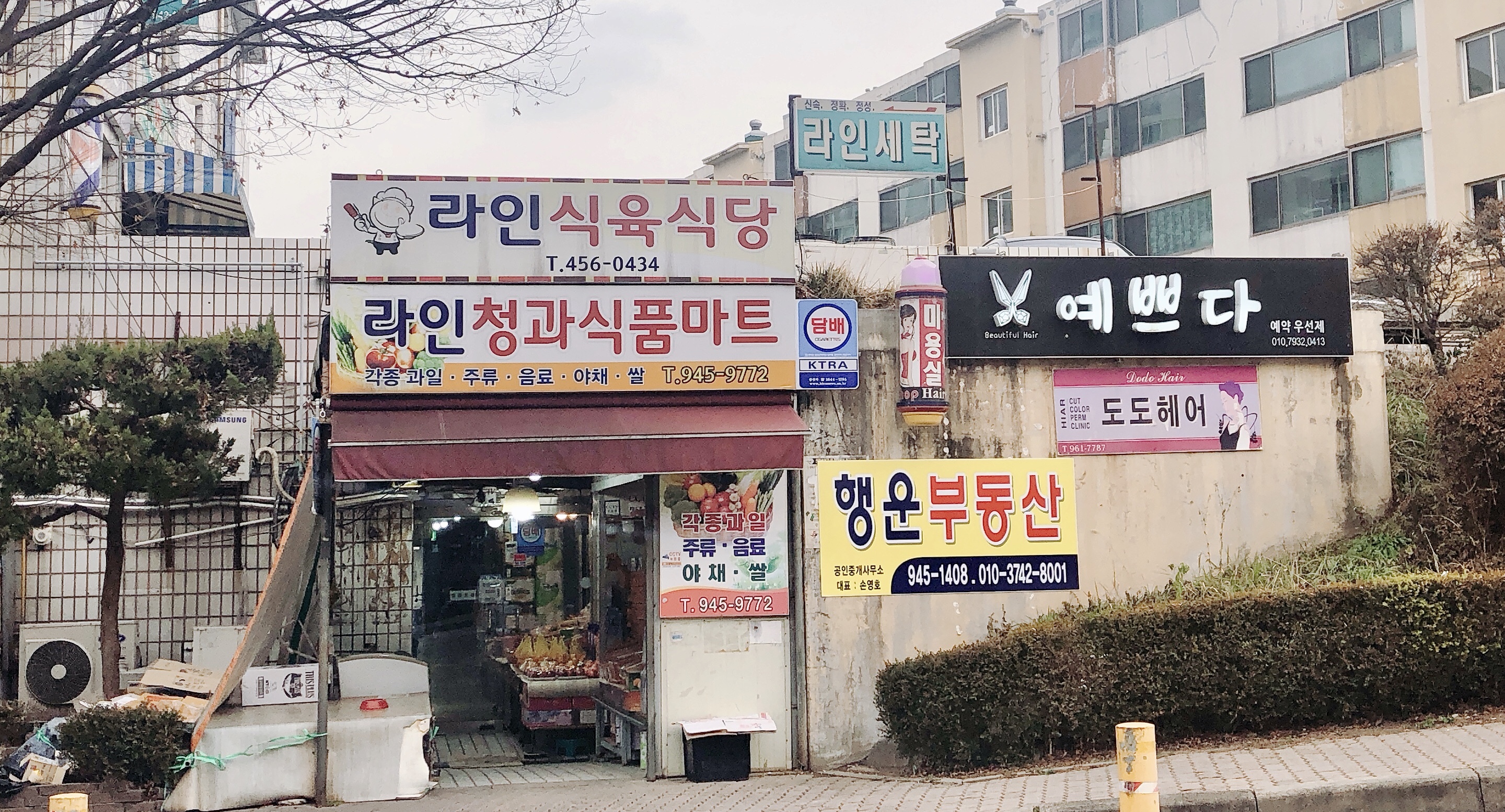 라인청과식품마트