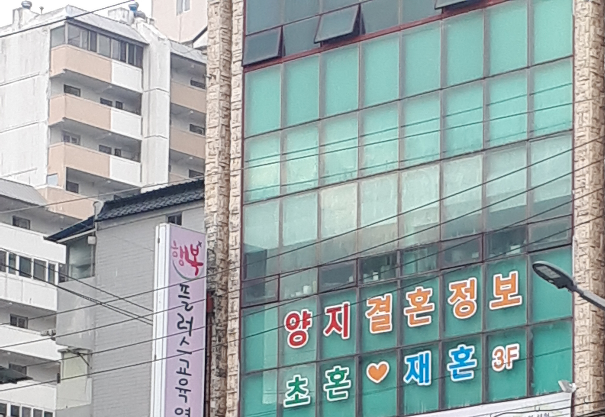 양지결혼정보