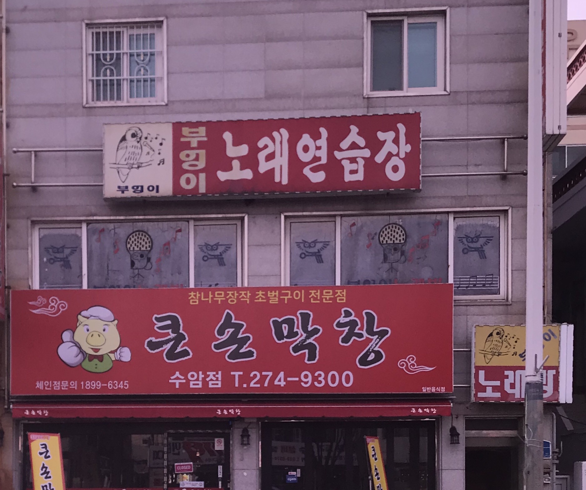 부엉이노래연습장