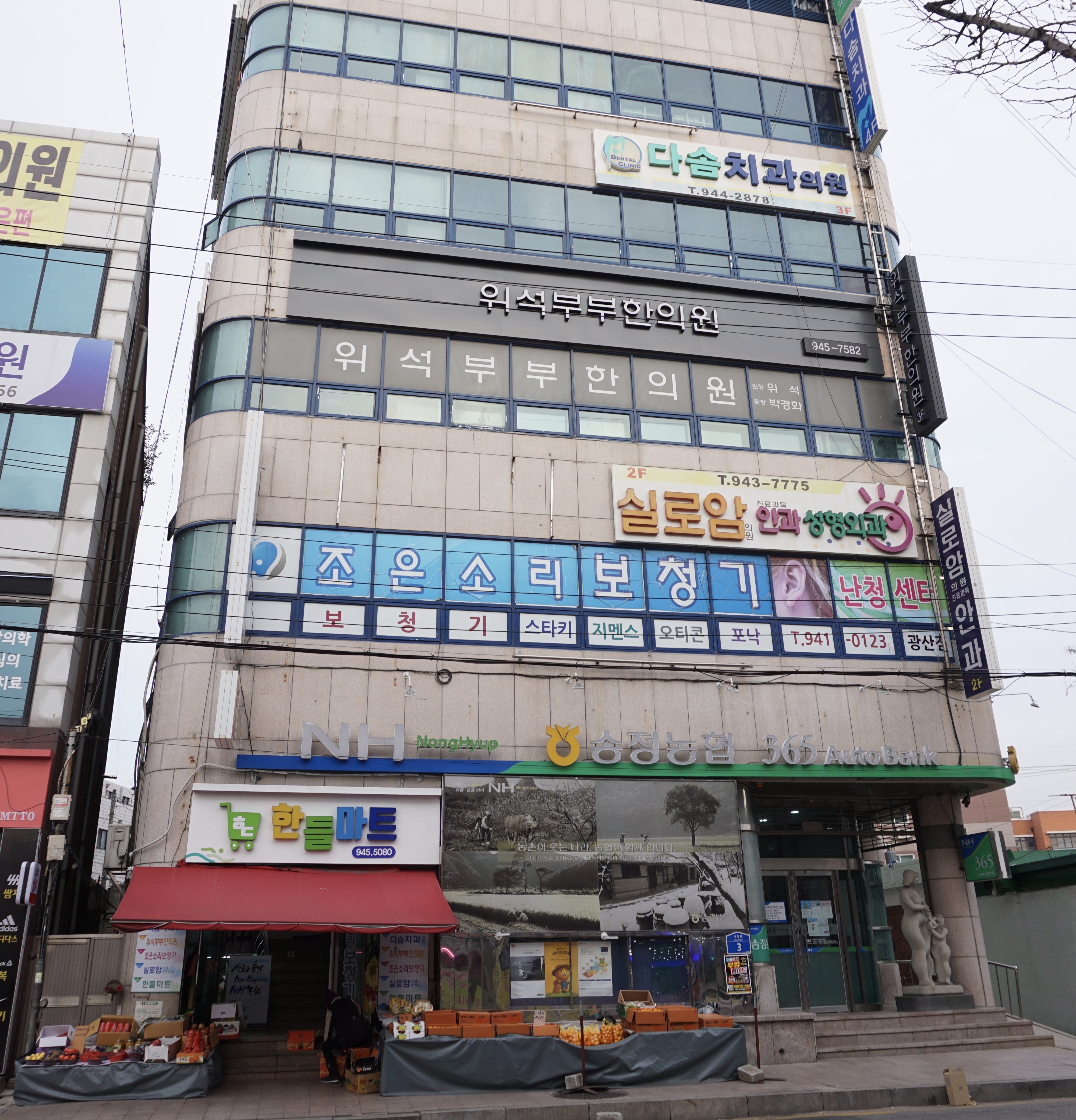 다솜치과의원