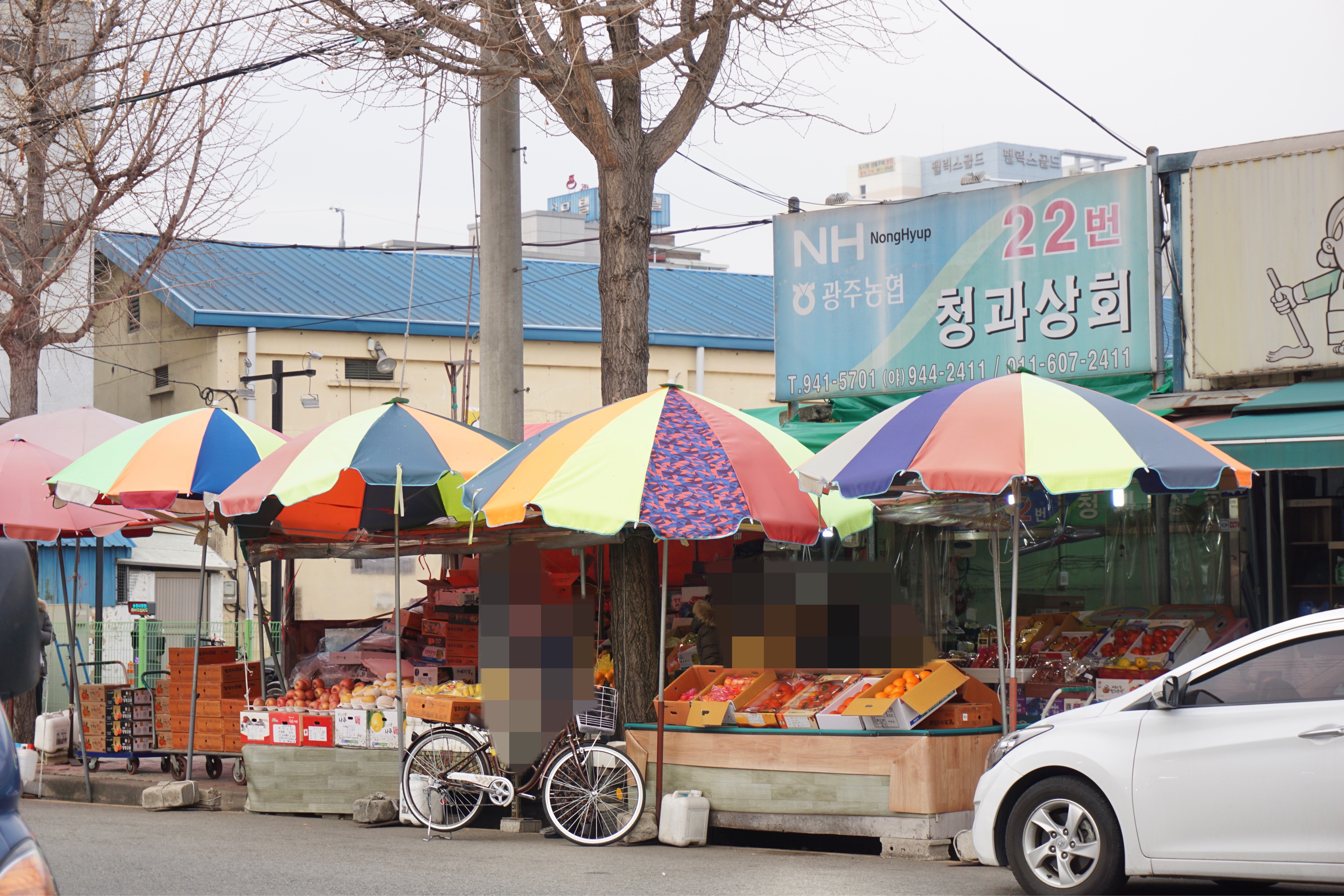 광주농협22번청과상회