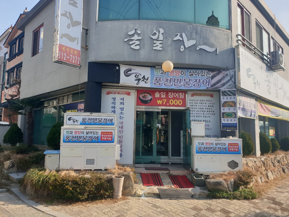 풍천솔잎장어
