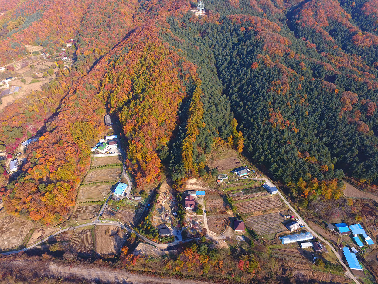 더포레스트 캠핑장