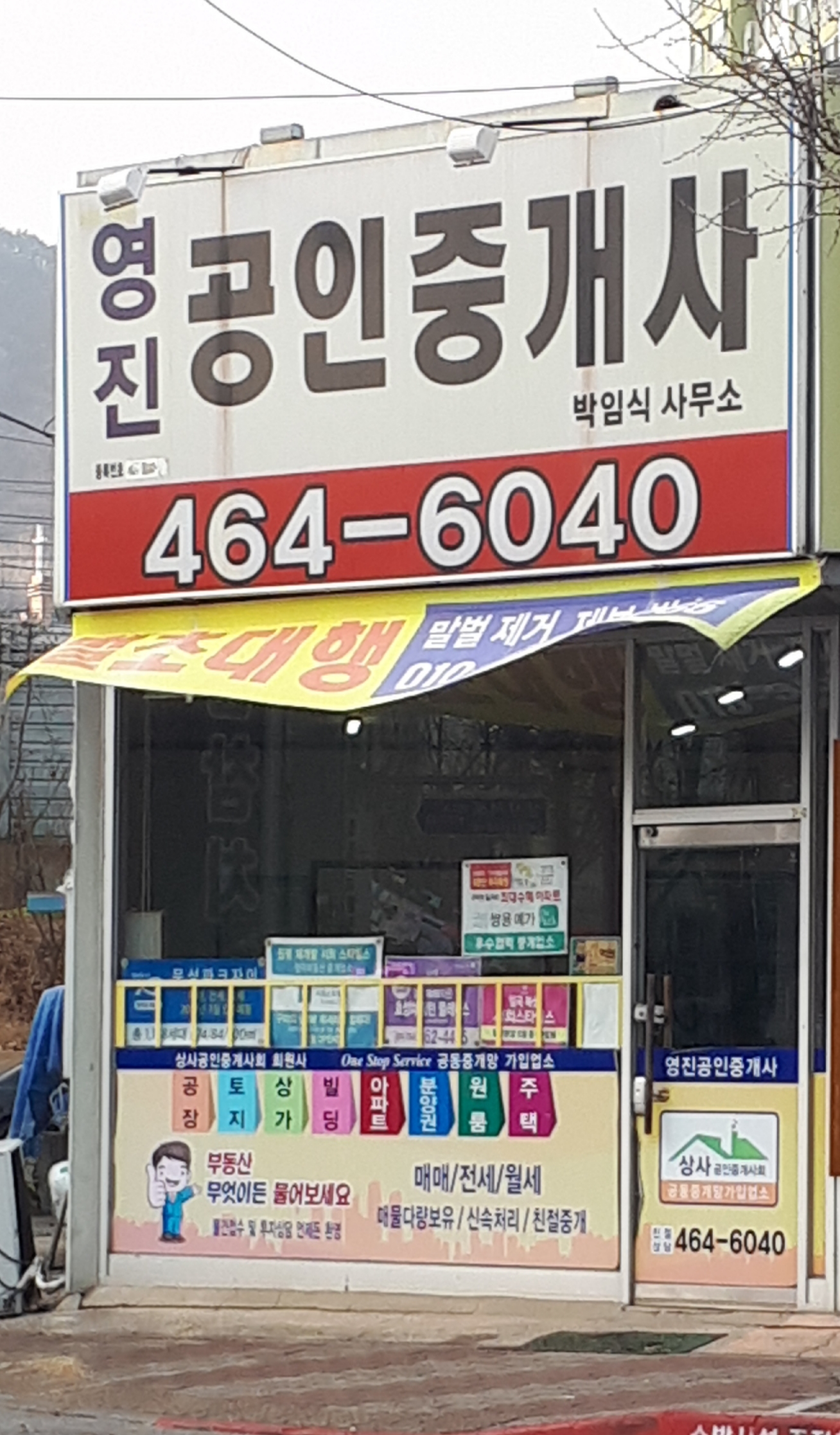 영진공인중개사
