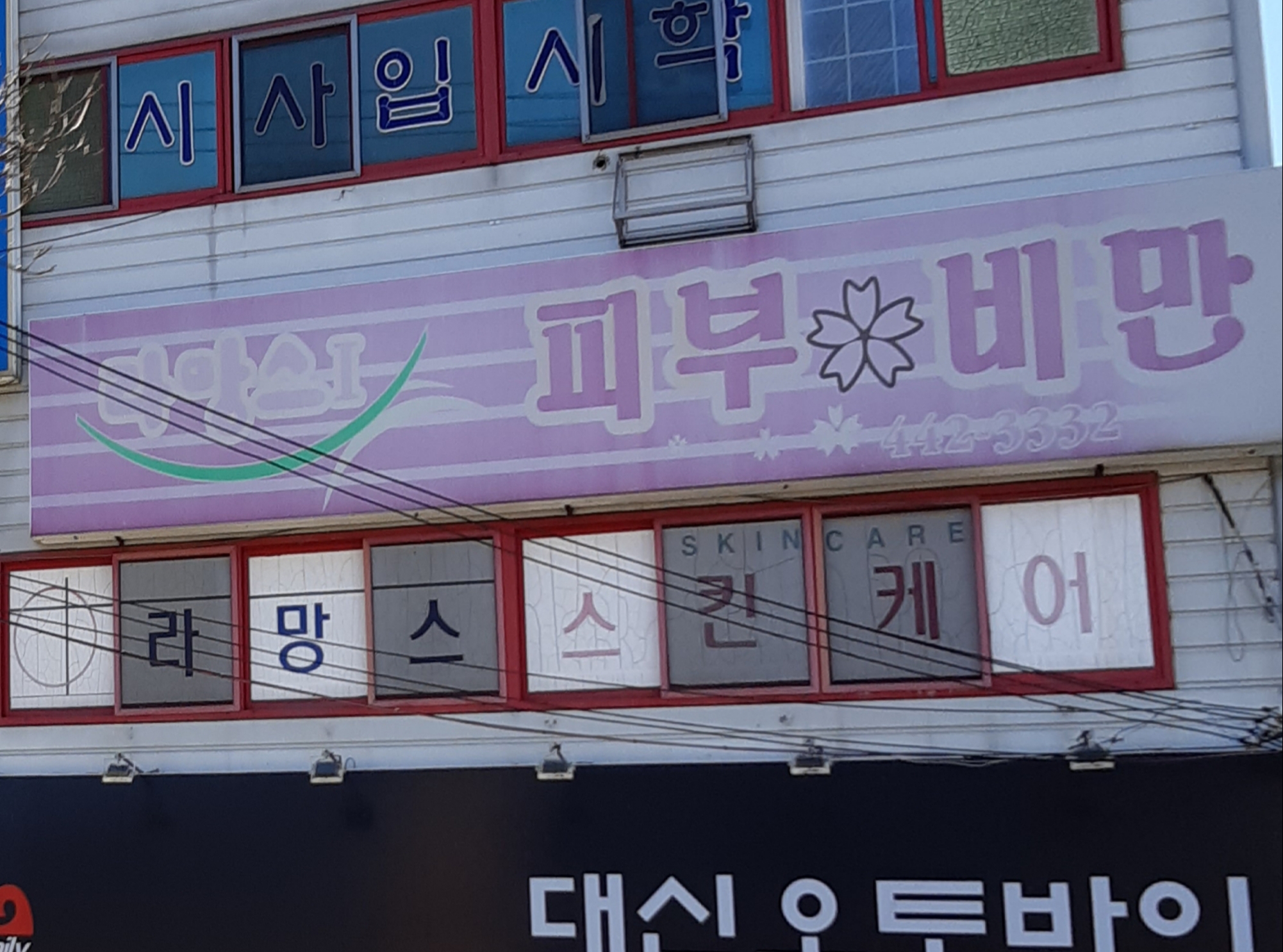 라망스피부비만 대표 이미지