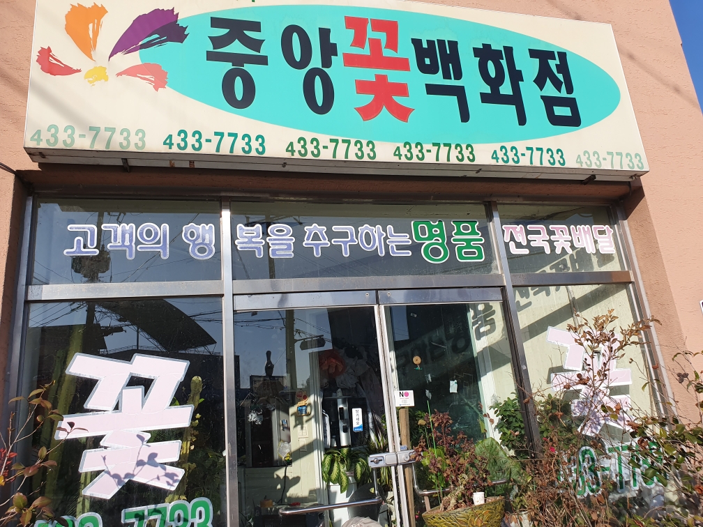 중앙화원꽃배달