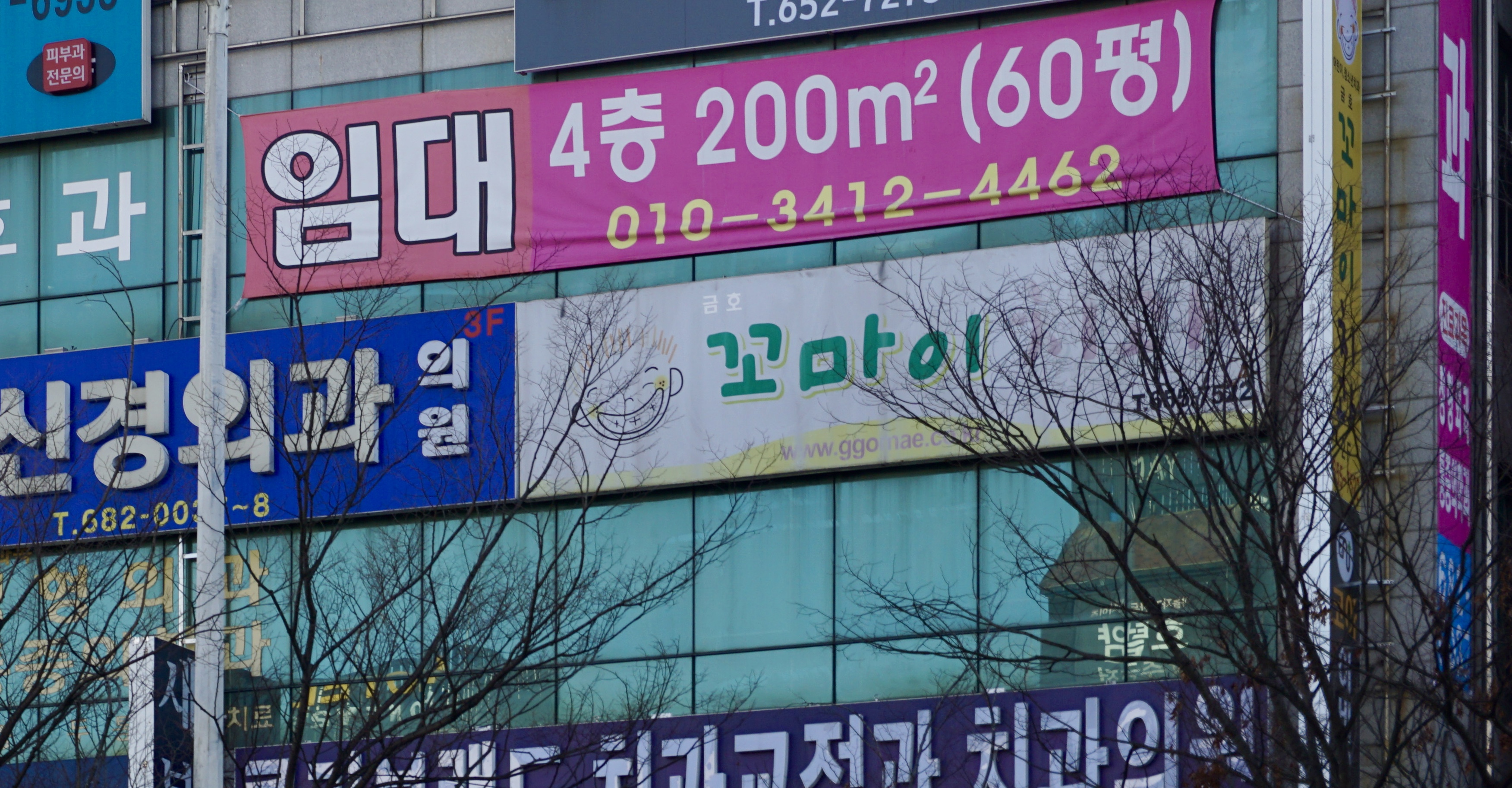금호꼬마이치과의원 대표 이미지