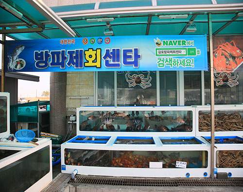 감포 방파제회센타
