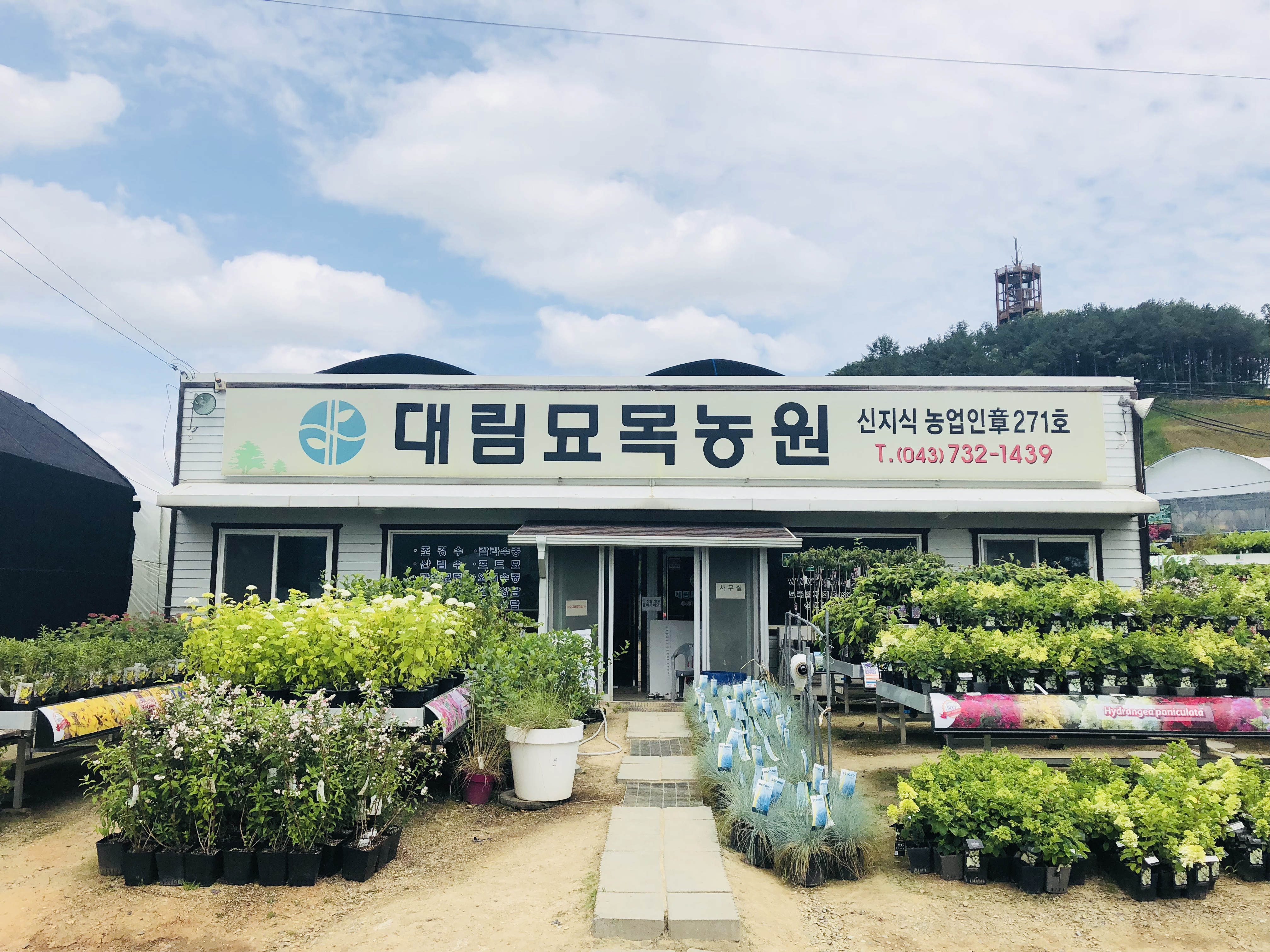 대림묘목농원