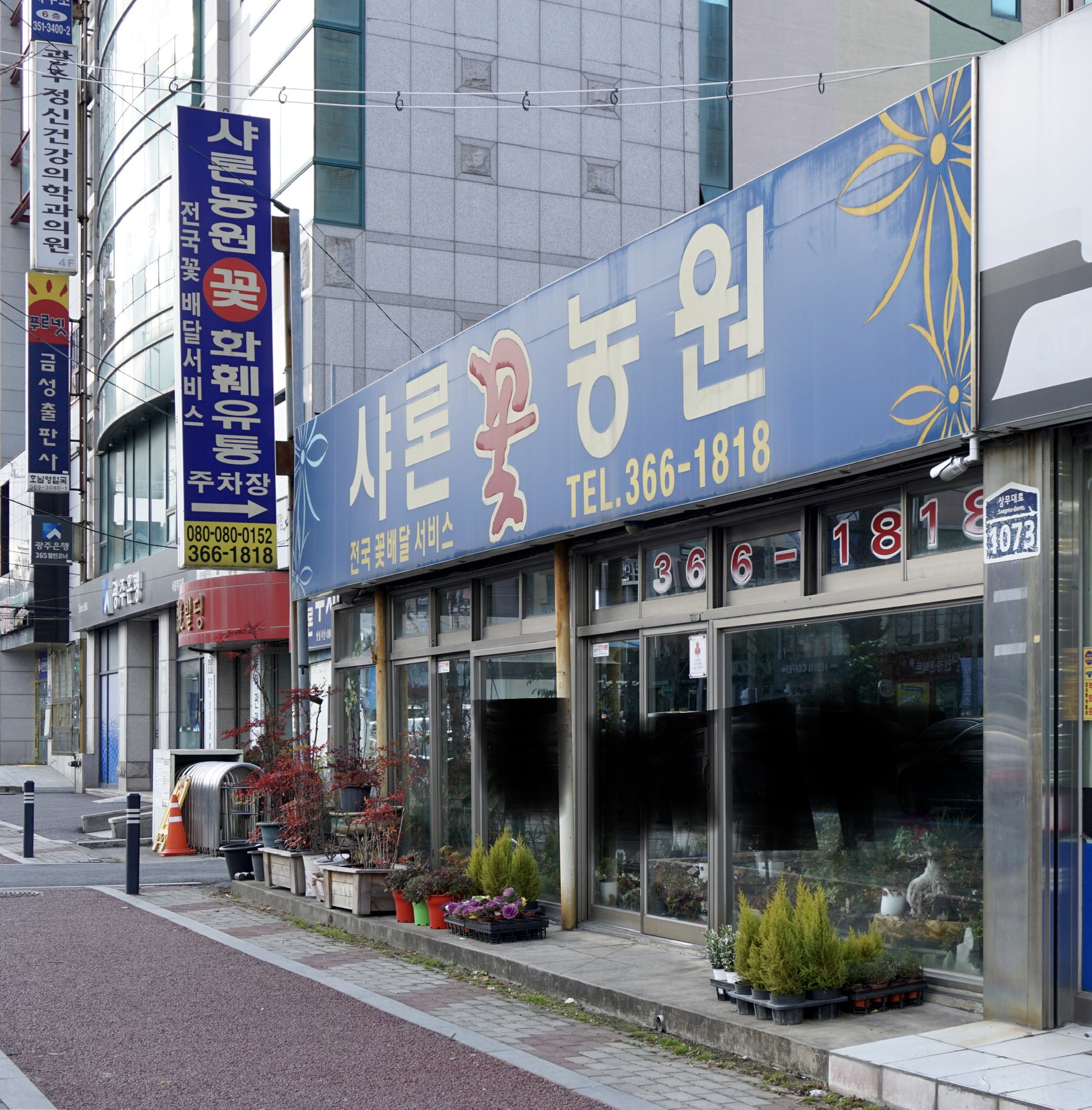 샤론꽃농원
