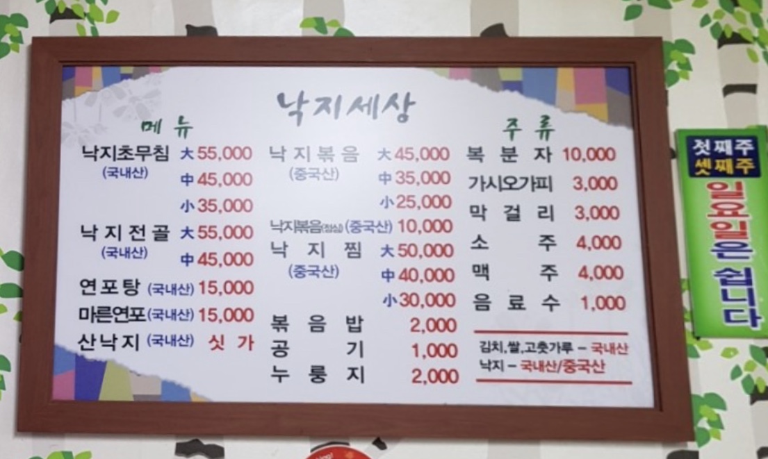 낙지세상