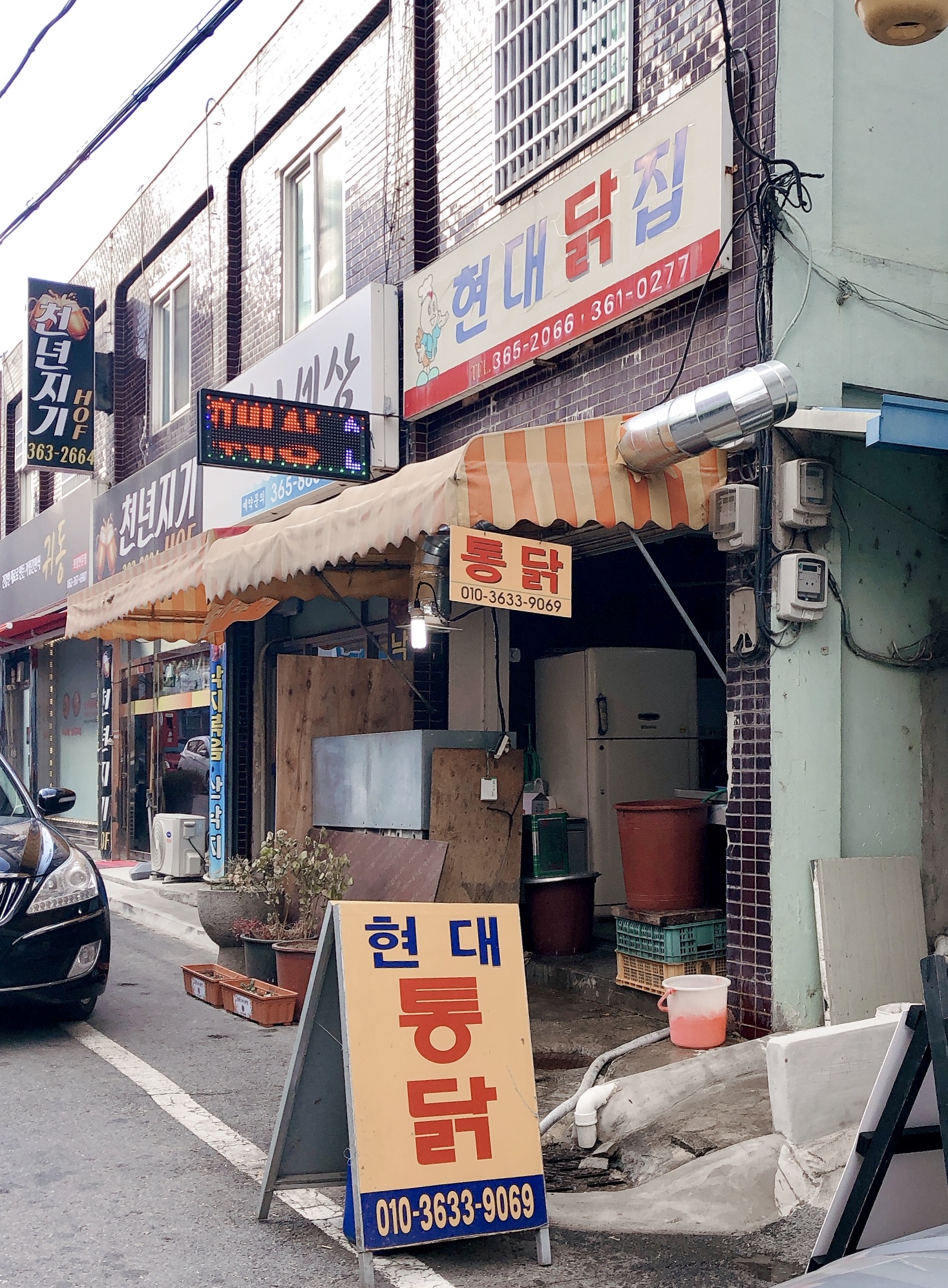 현대닭집