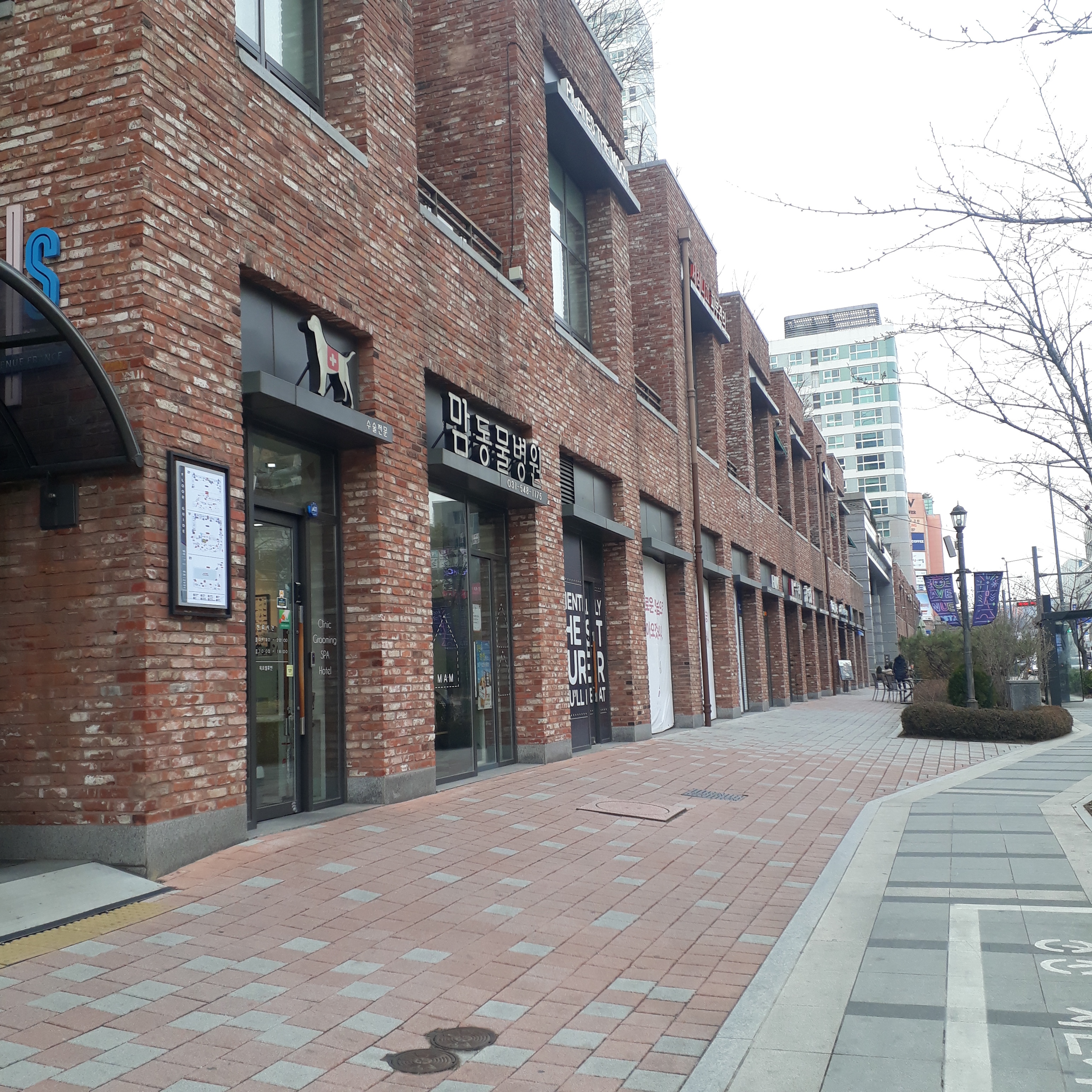 맘동물병원 대표 이미지