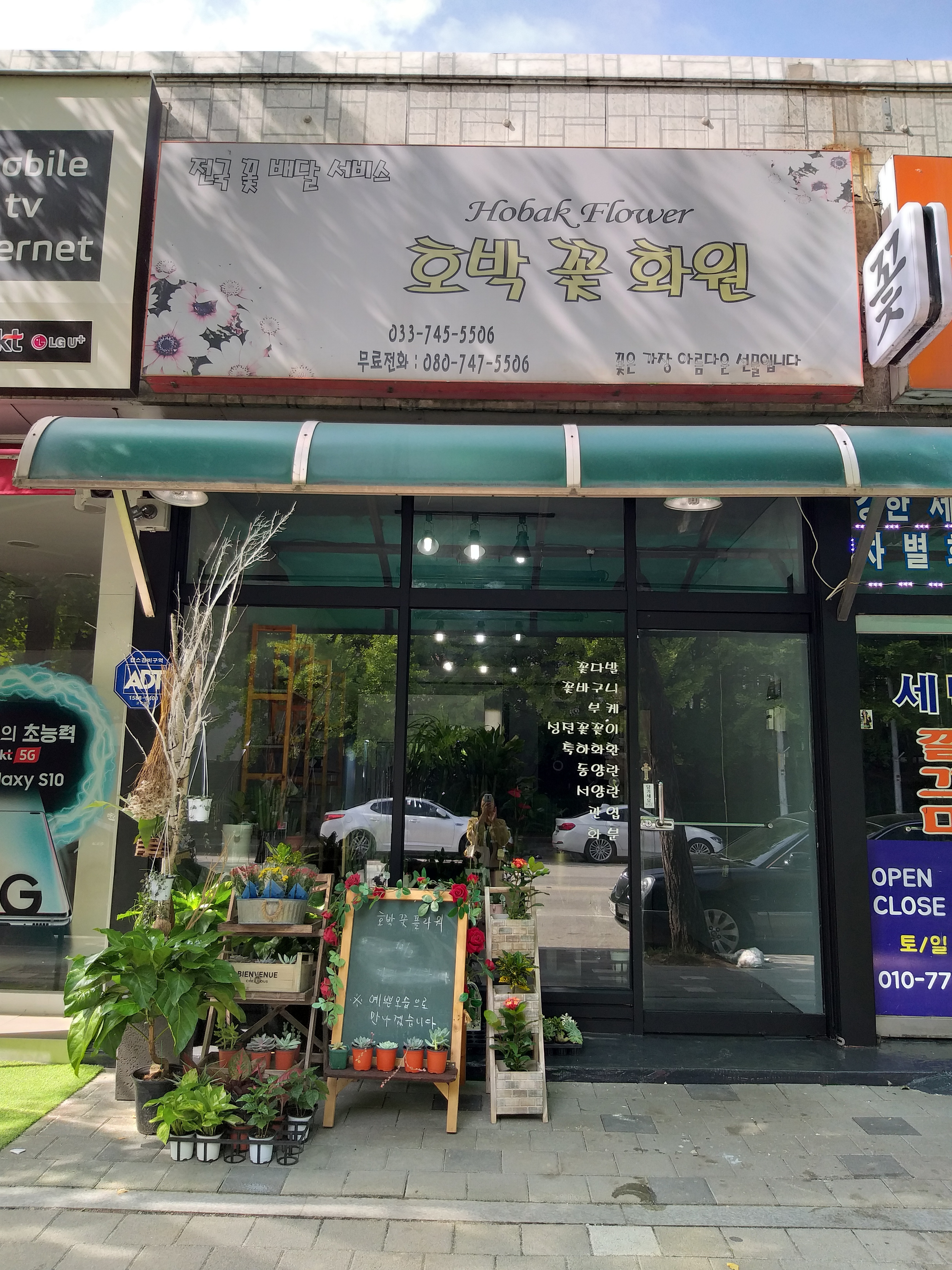 호박꽃화원