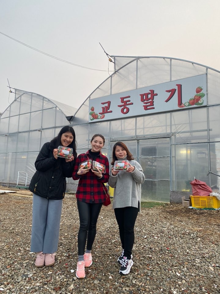 원팜딸기