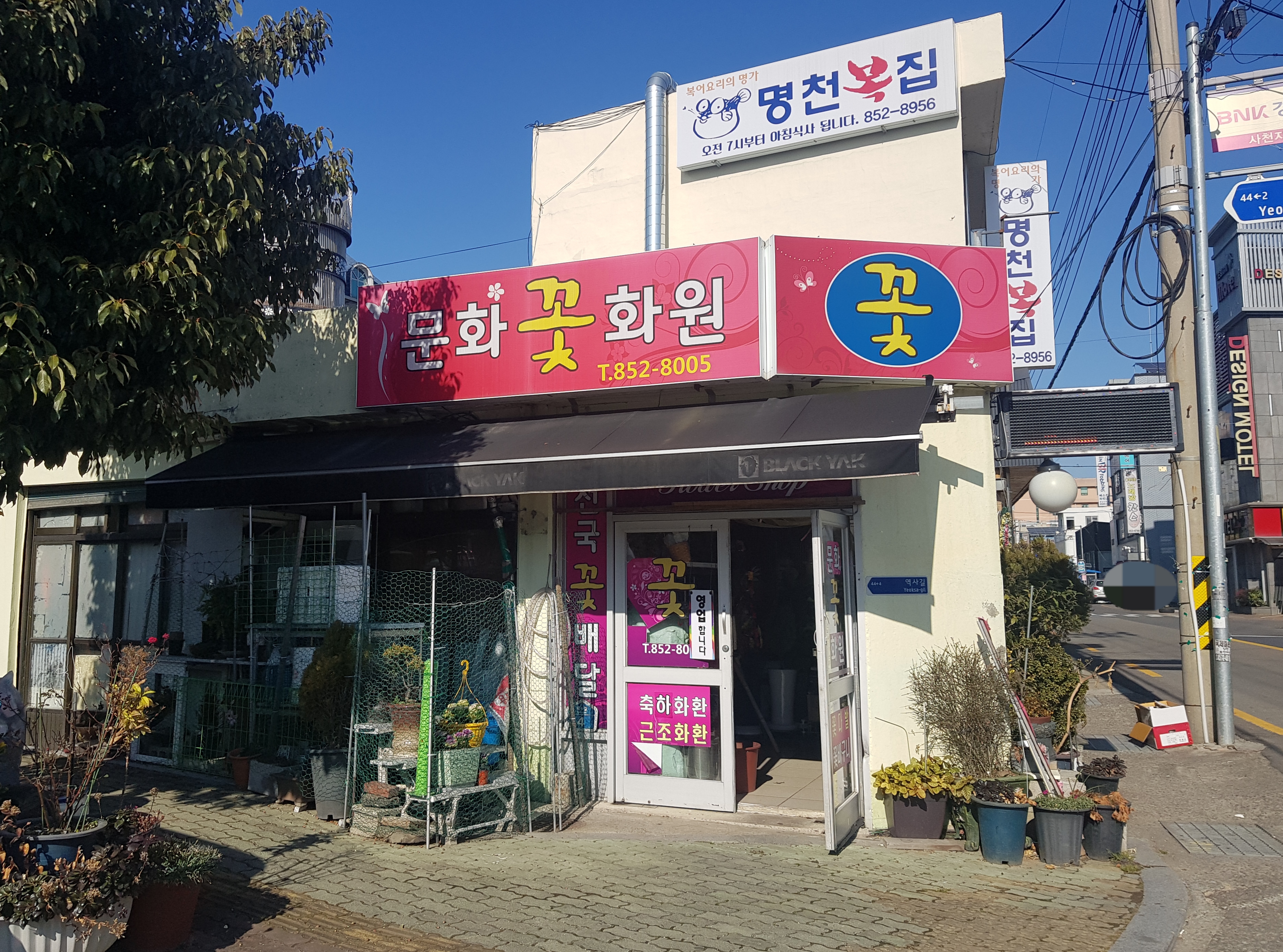 문화꽃화원