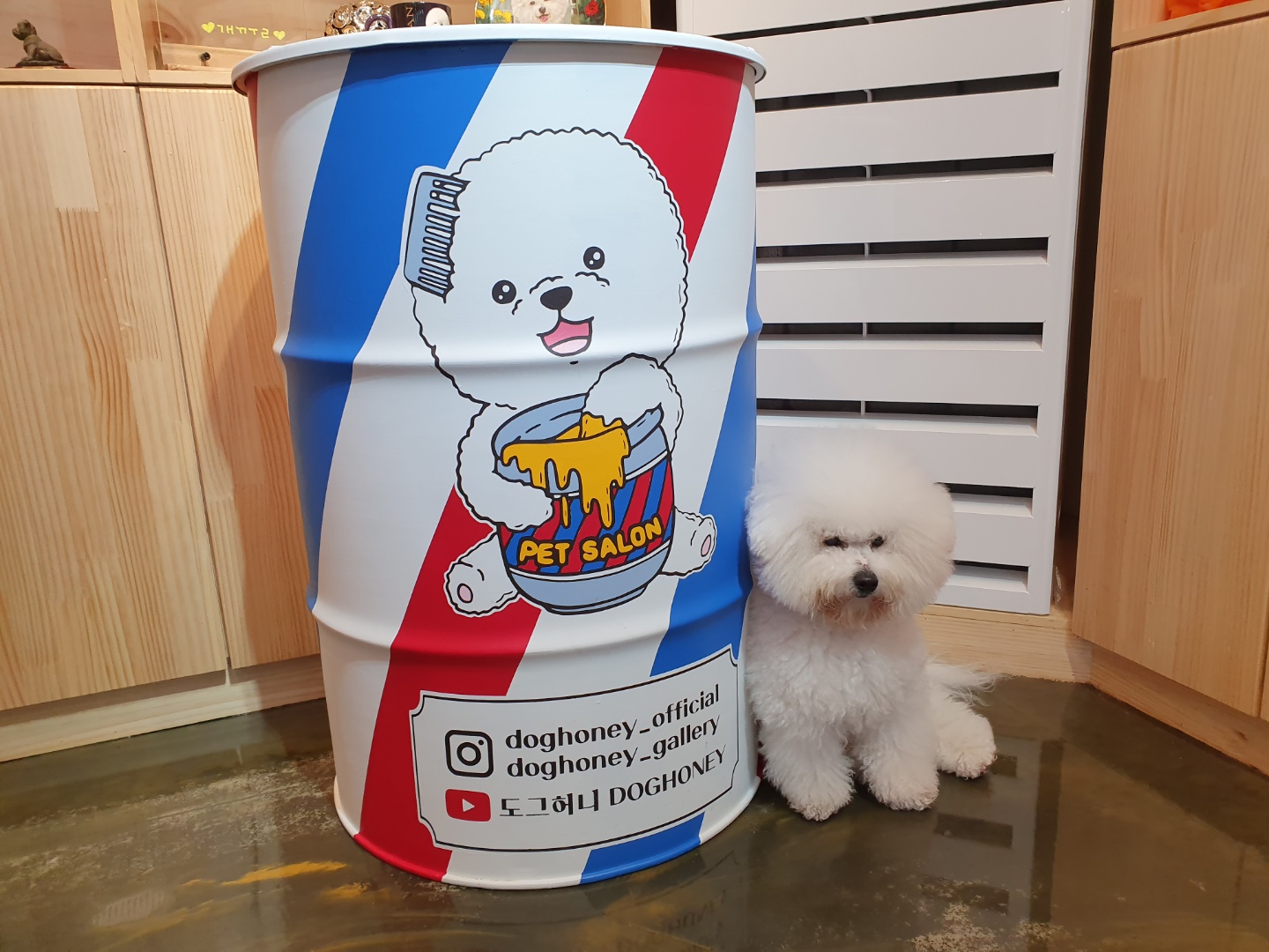 도그허니 대표 이미지