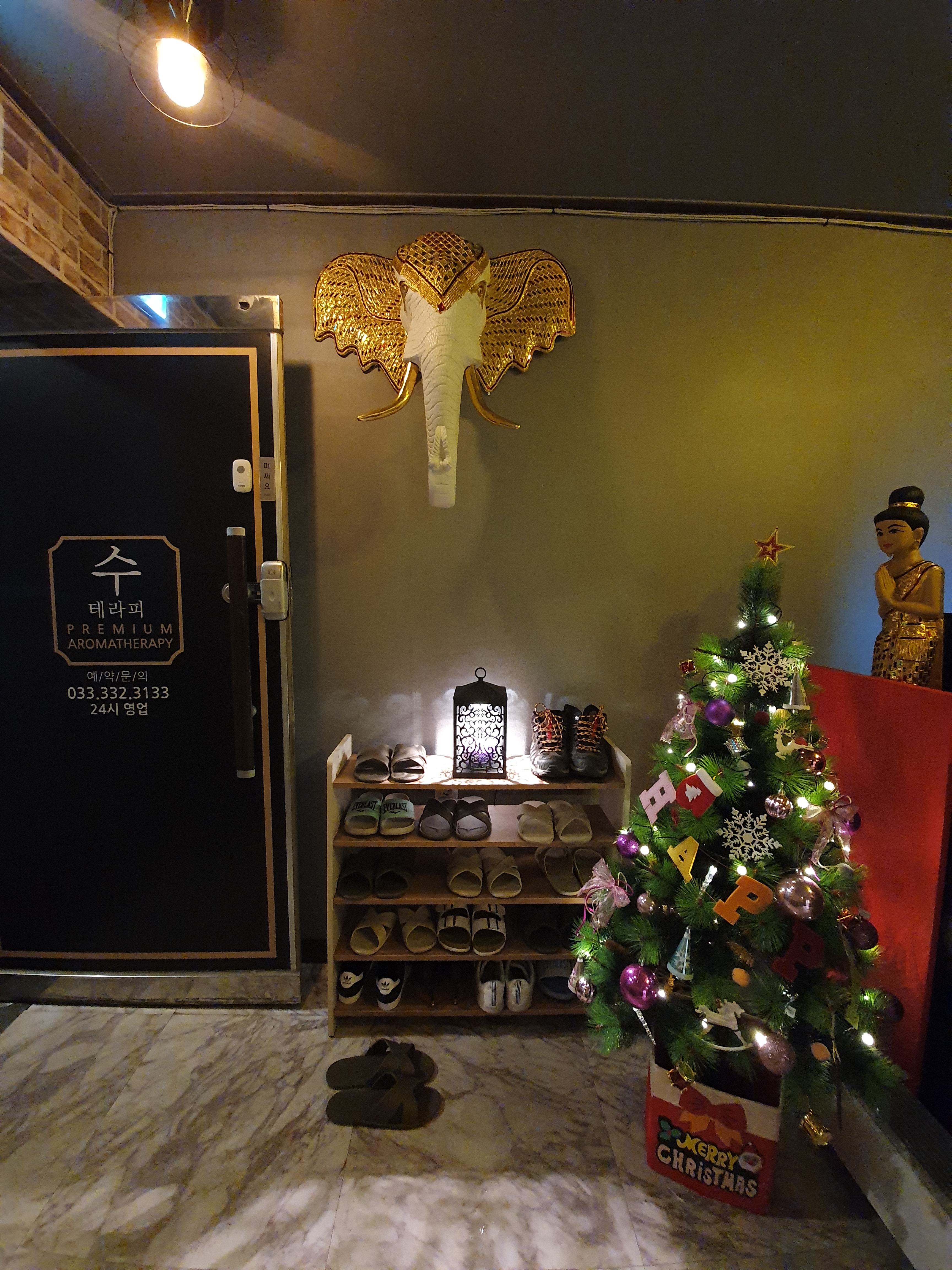 수테라피 photo 3