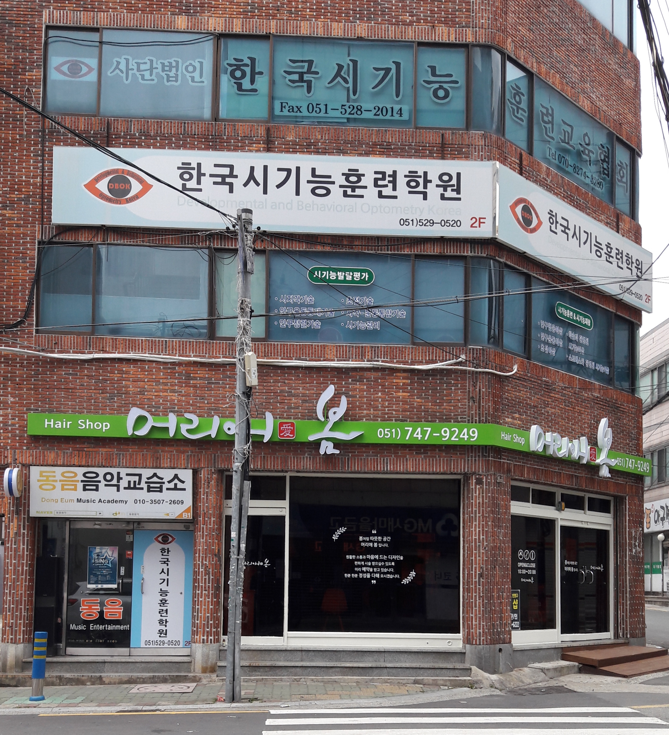 머리애 봄