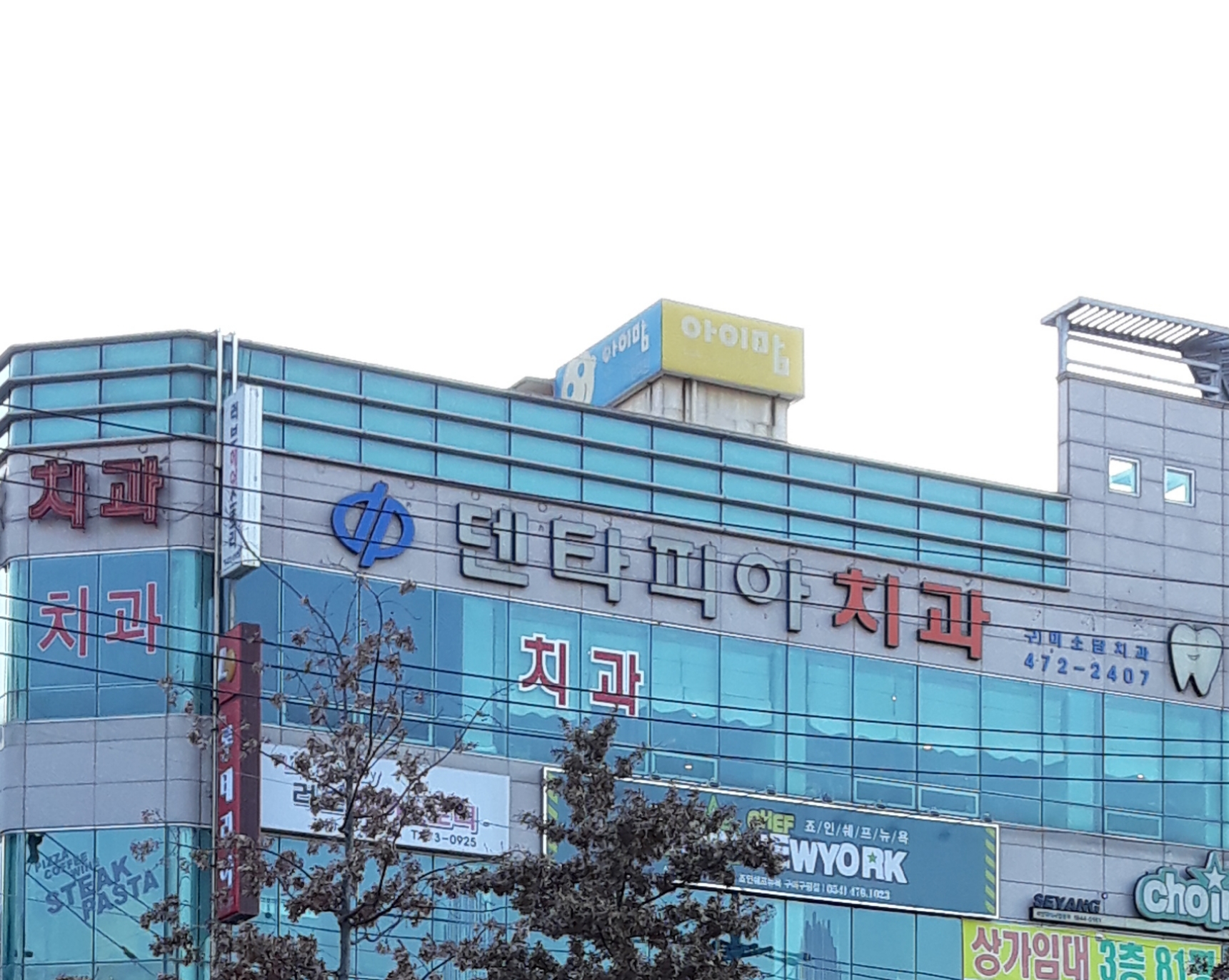 덴타피아치과의원