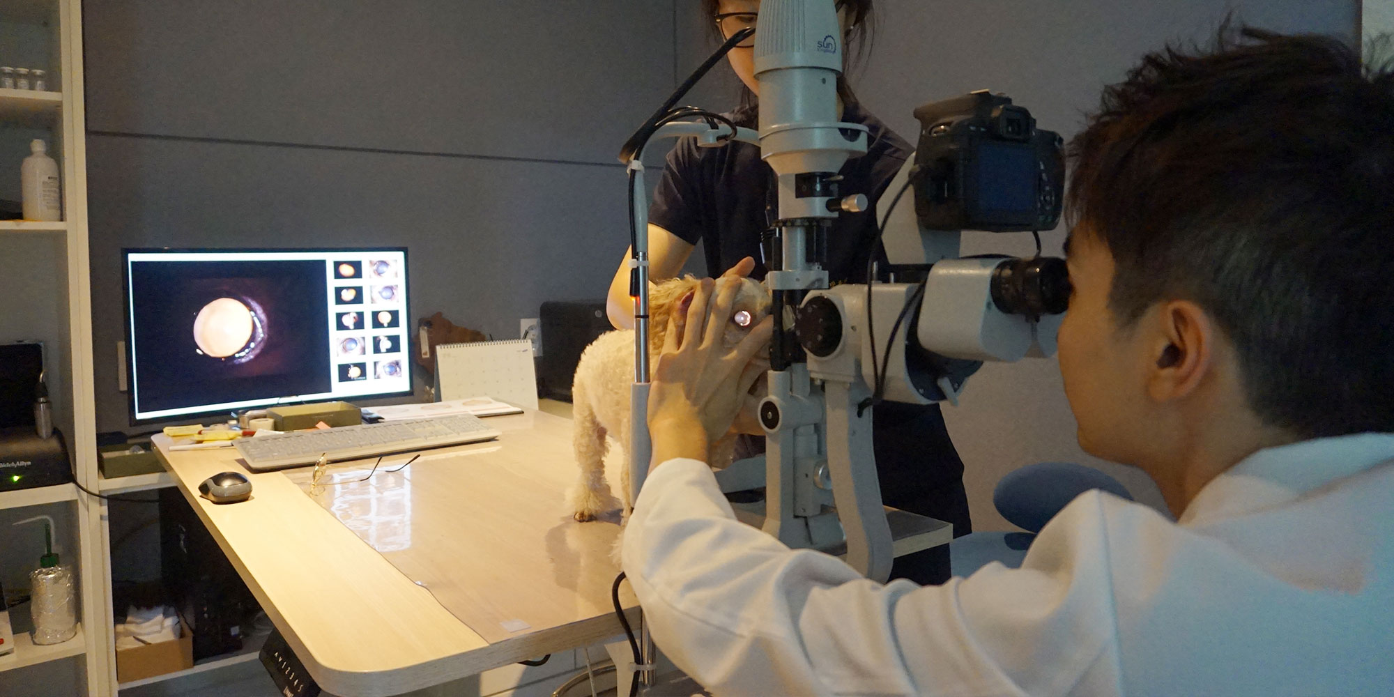 청담눈초롱안과동물병원 대표 이미지