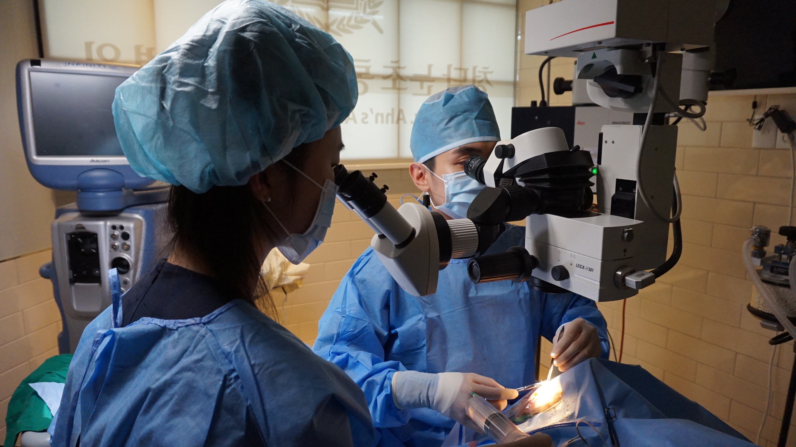 청담눈초롱안과동물병원 대표 이미지