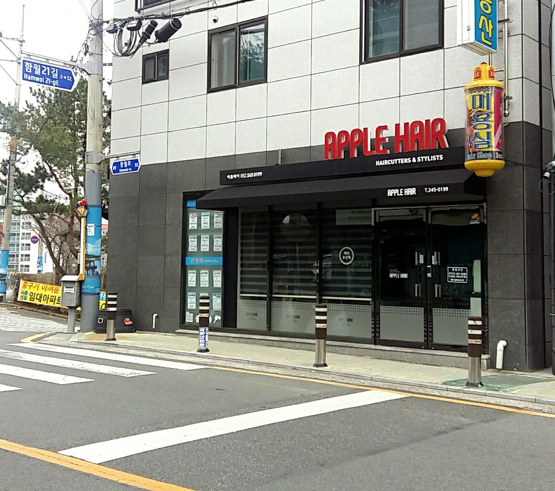 애플헤어