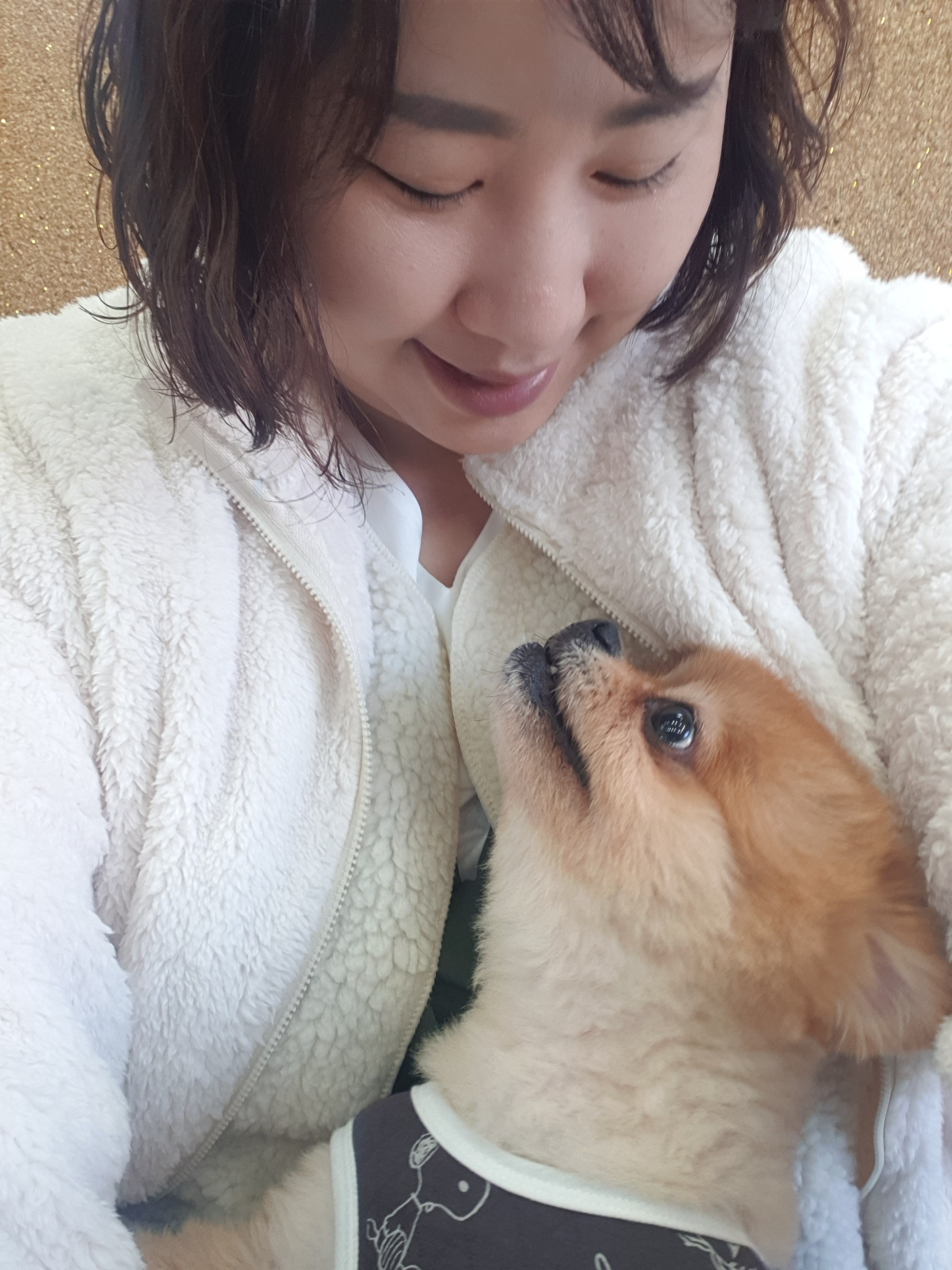 Mr사랑짱애견미용샵 대표 이미지