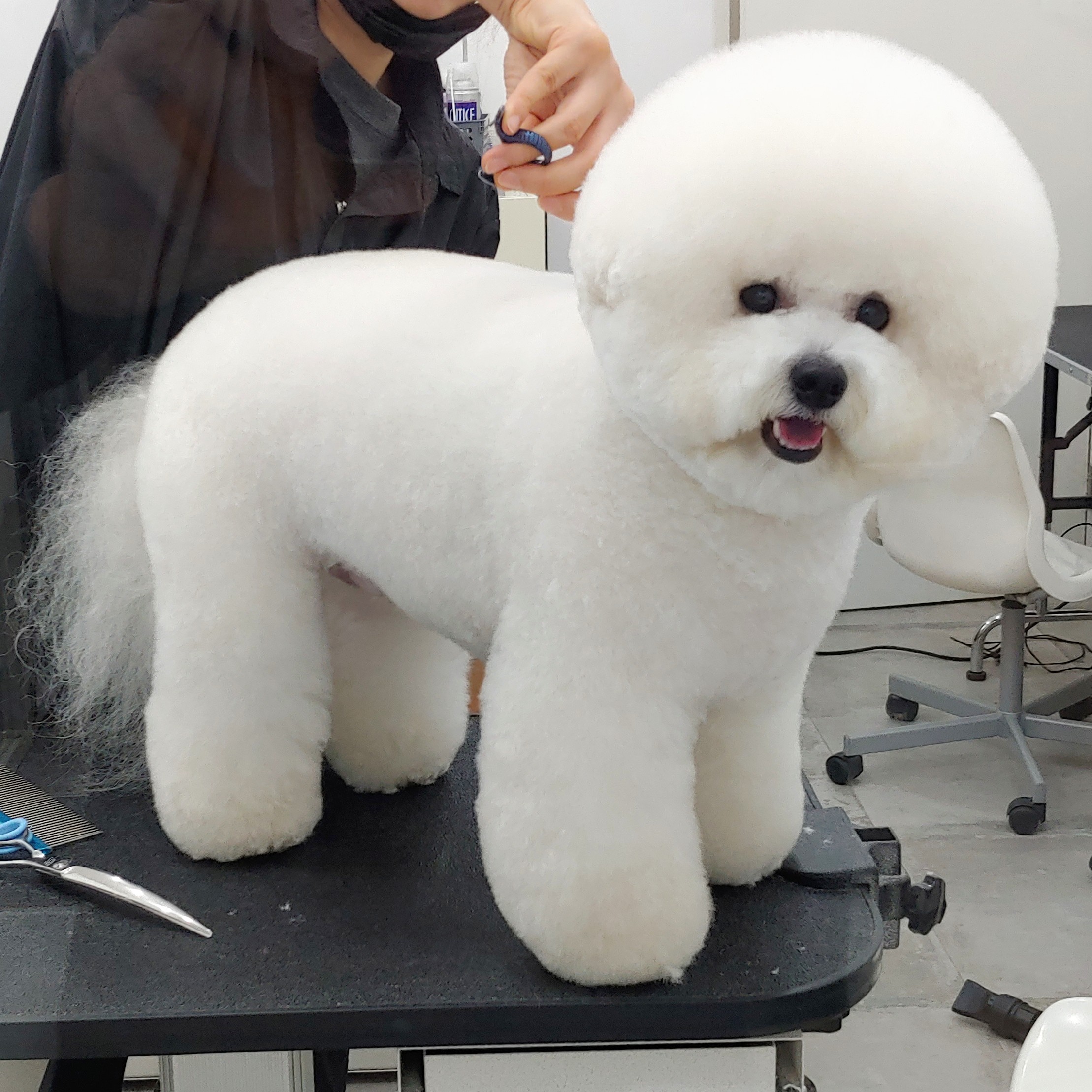 트리밍매직 대표 이미지