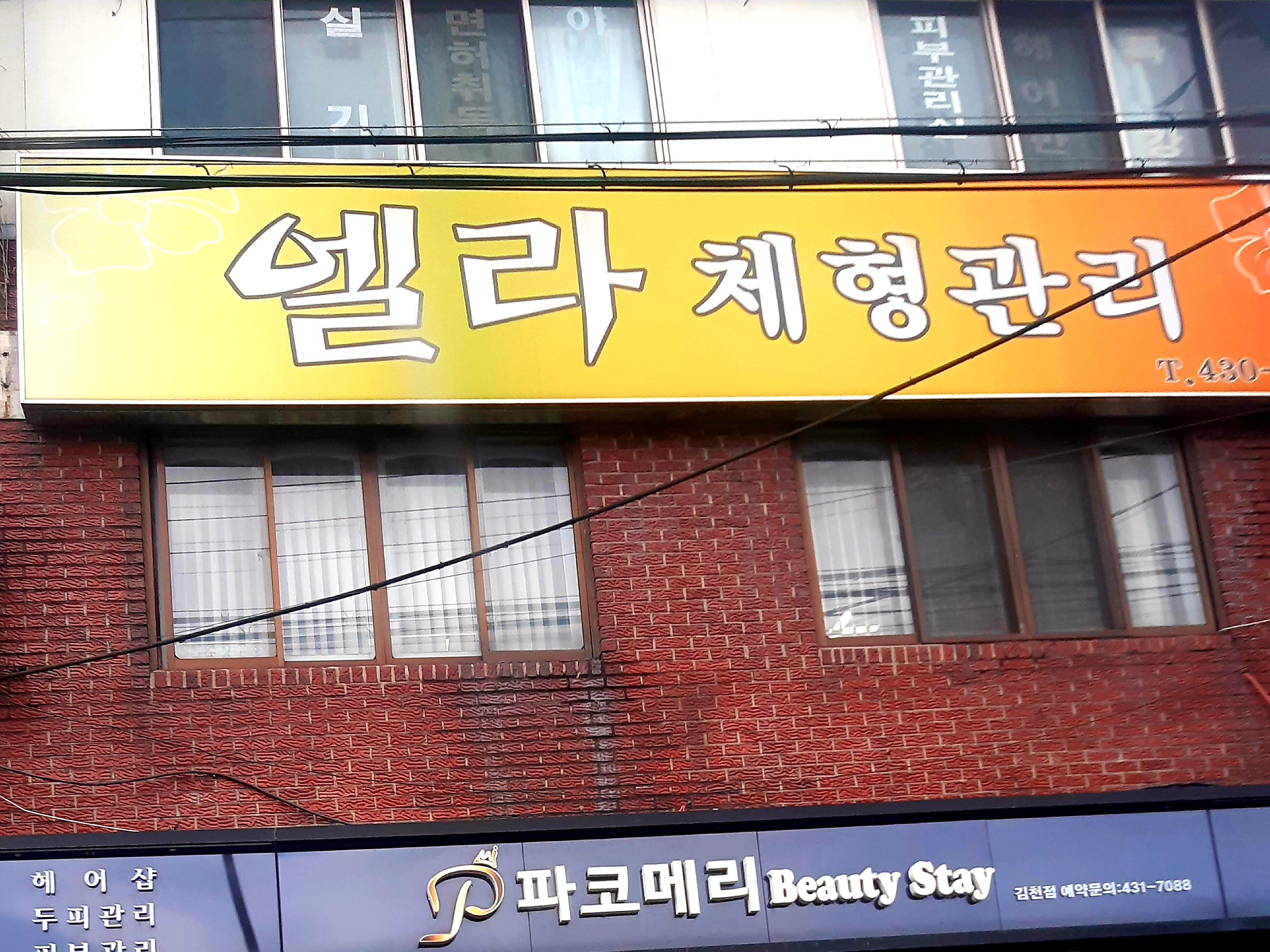 엘라체형관리경락마사지