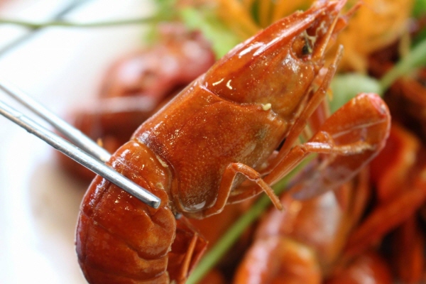 한반도양꼬치&훠궈무한리필