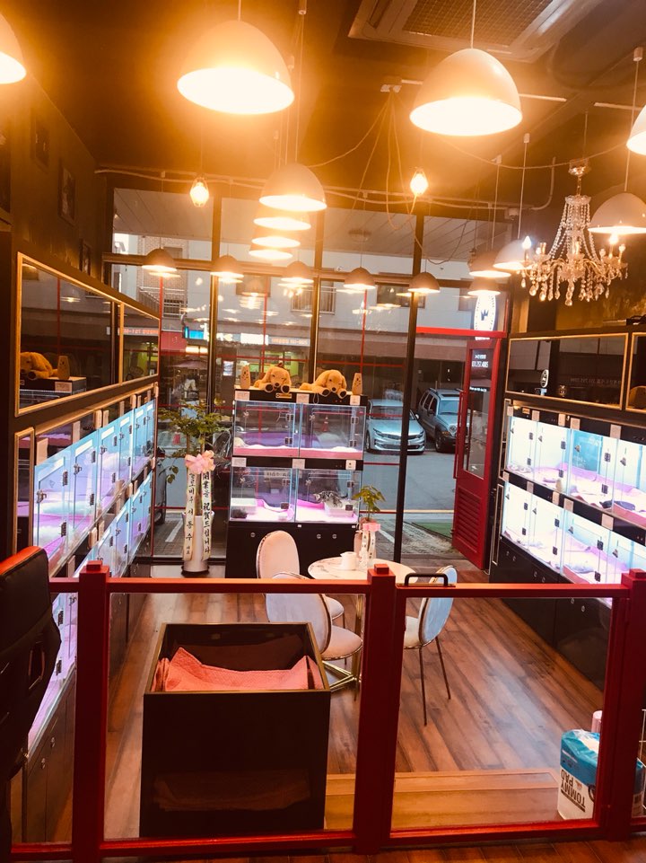 아인츠독 성남위례점
